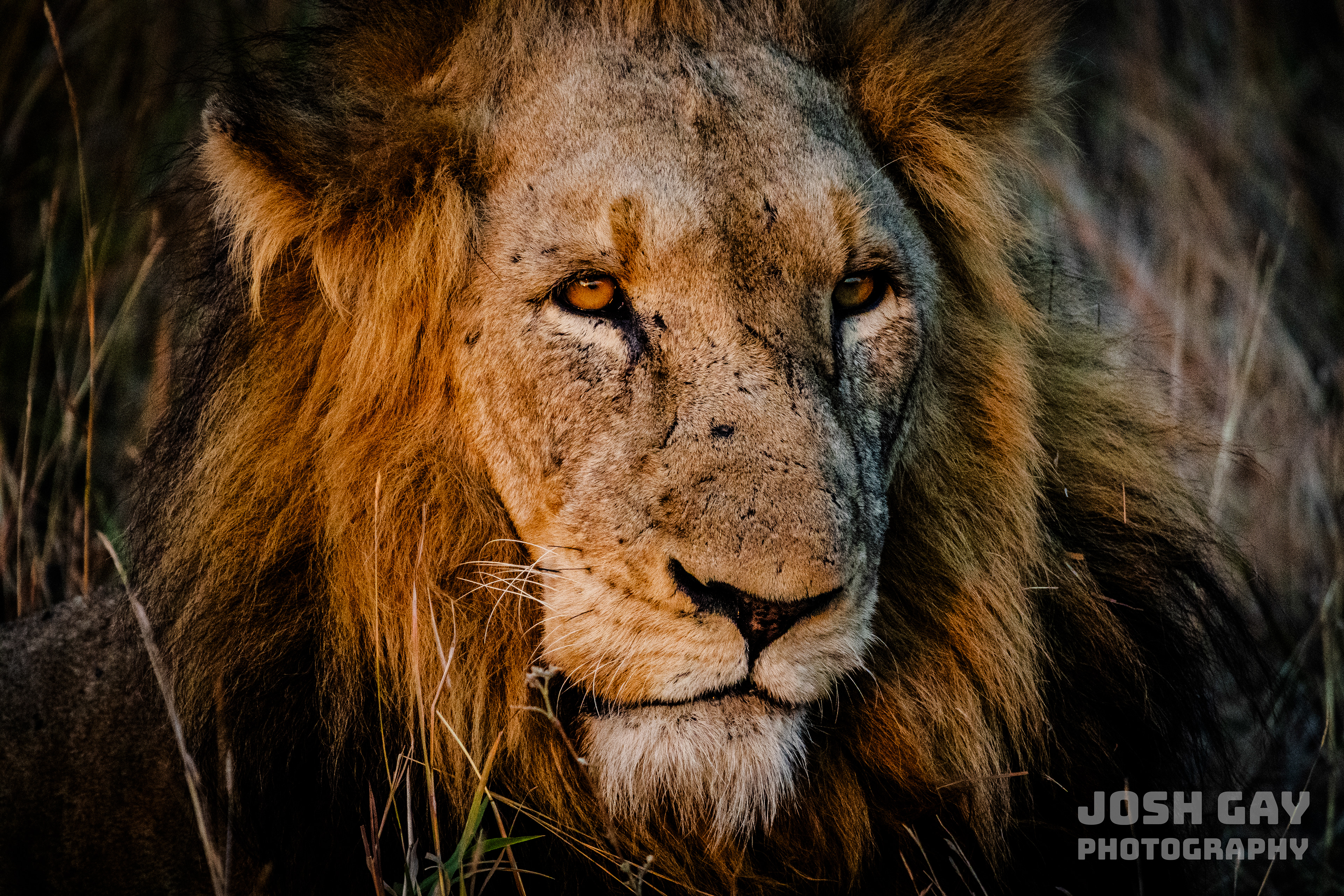 Finalist - The Nature Conservancy’s 2023 Global Photo Contest | Smithsonian Magazine Photo of the Day 10.06.2025