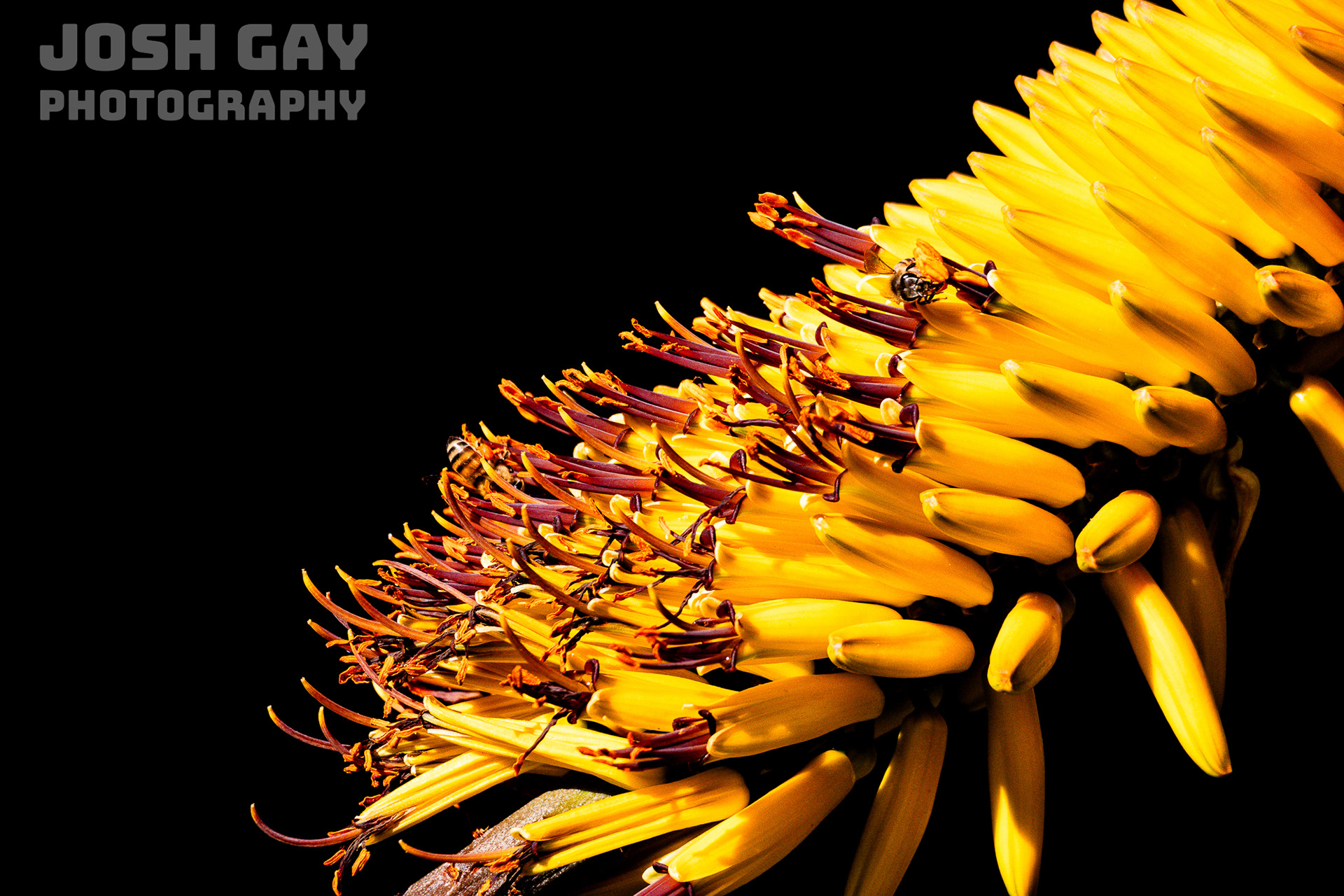 Smithsonian Magazine Photo of the Day 08.17.2025