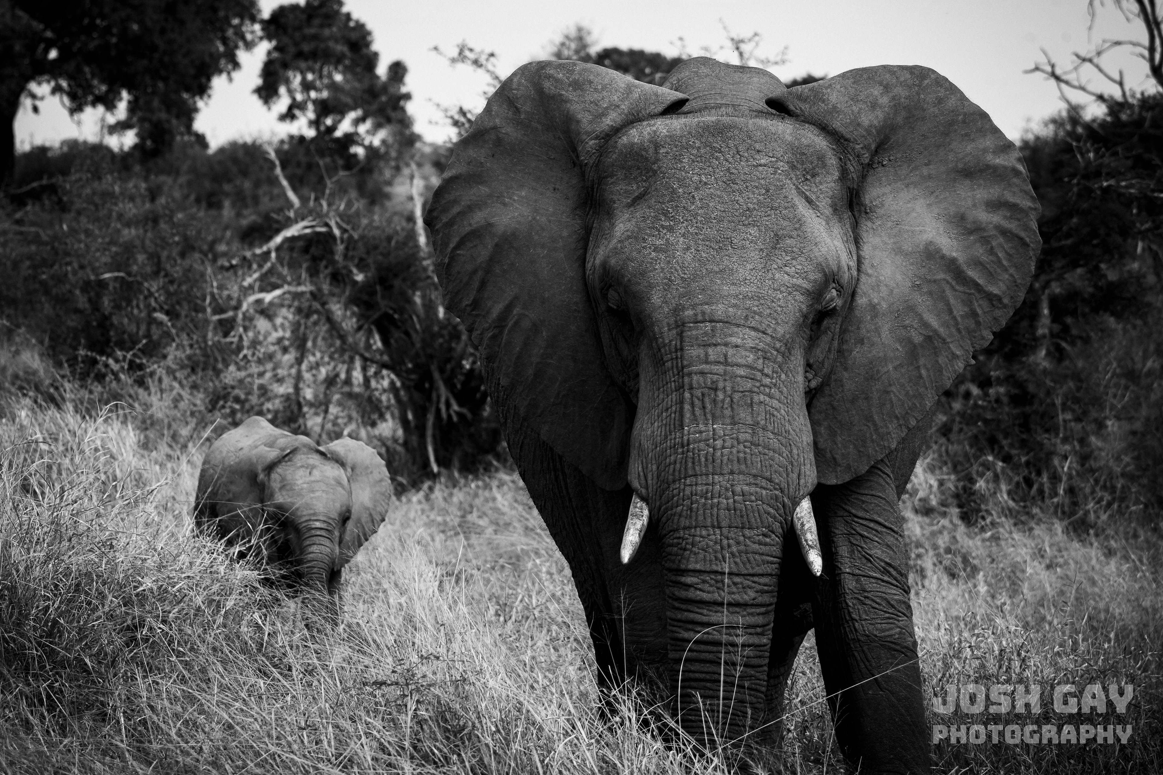 Finalist - The Nature Conservancy’s 2023 Global Photo Contest | Smithsonian Magazine Photo of the Day 08.22.2025