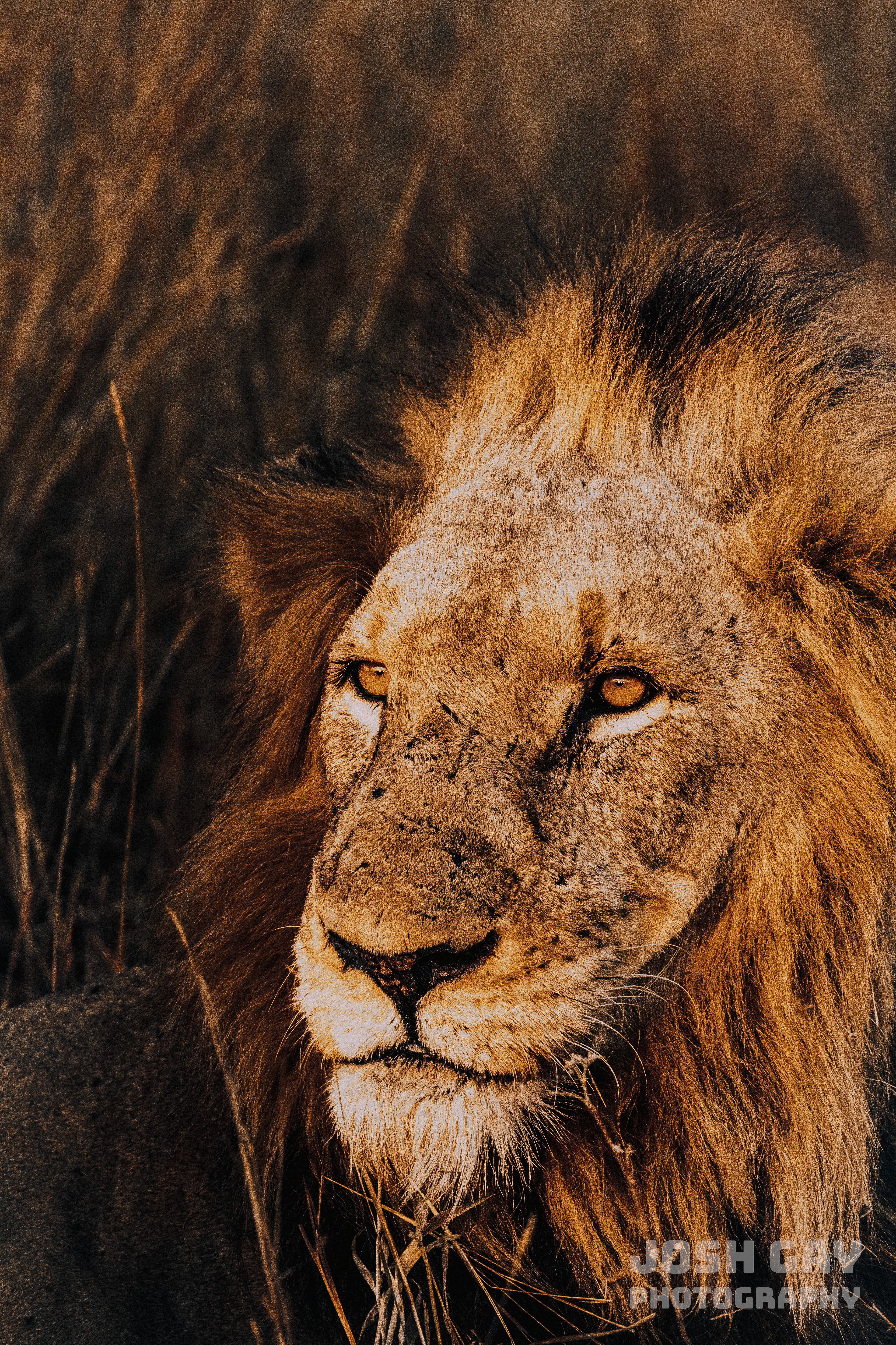 Smithsonian Magazine Photo of the Day 01.25.2024