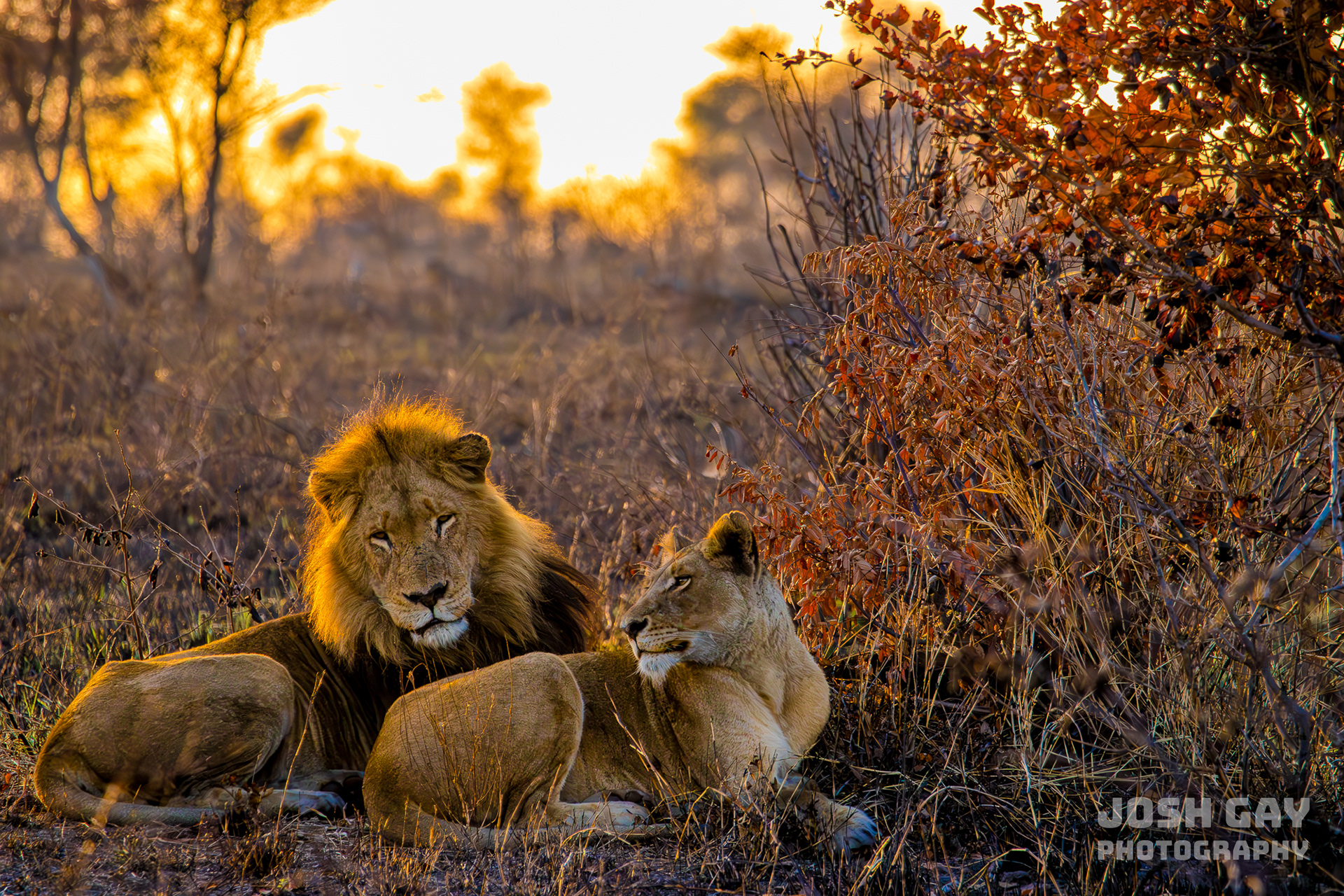 Pensacola Photography Group Photo of the Day - 06.06.2024