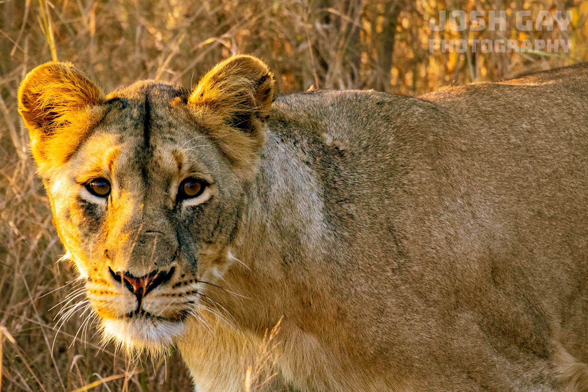 Smithsonian Magazine Photo of the Day 08.18.2025