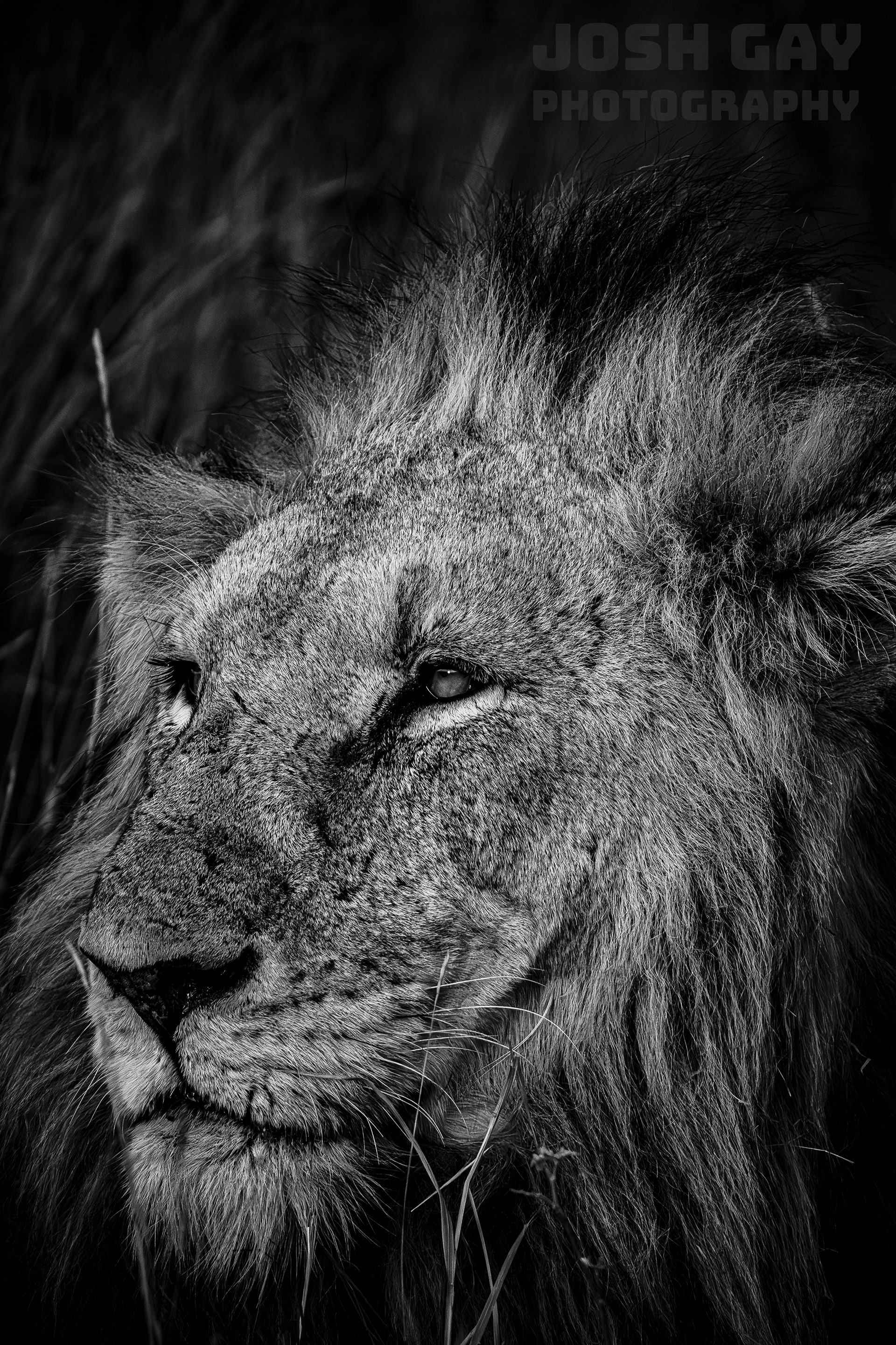 2025 Artel Gallery - Imagine - B&W Show