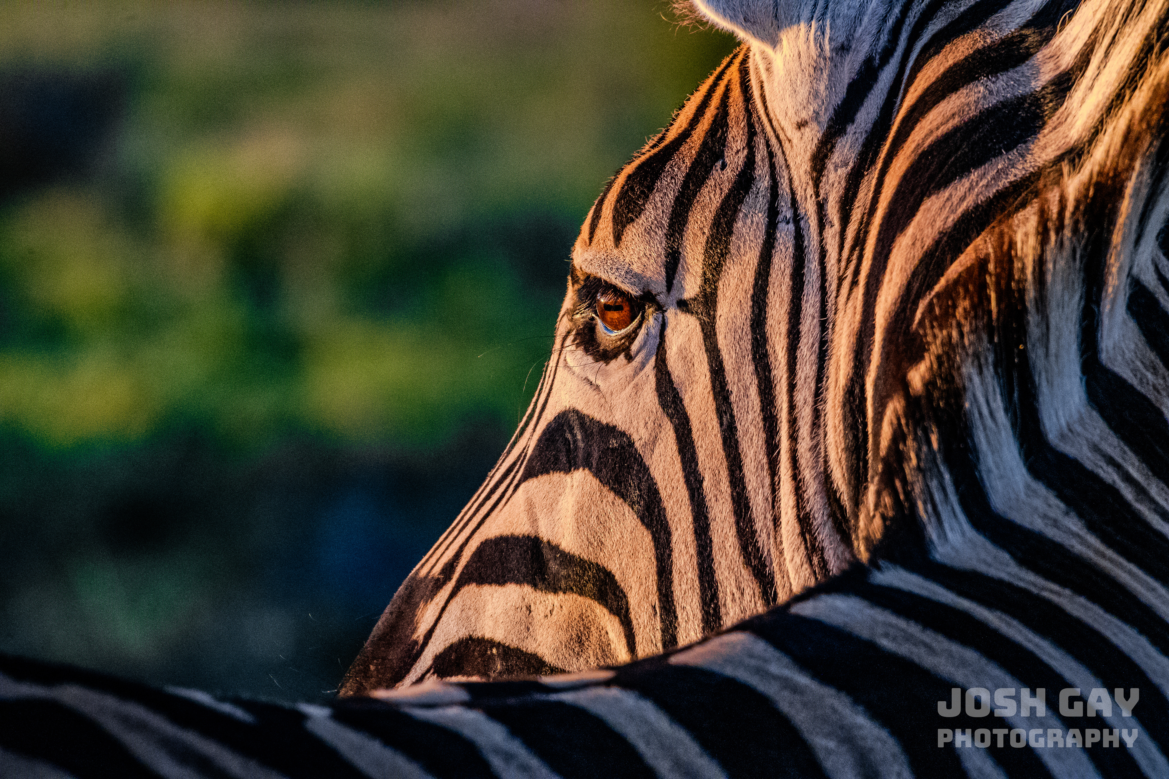 Smithsonian Magazine Photo of the Day 04.03.2024
