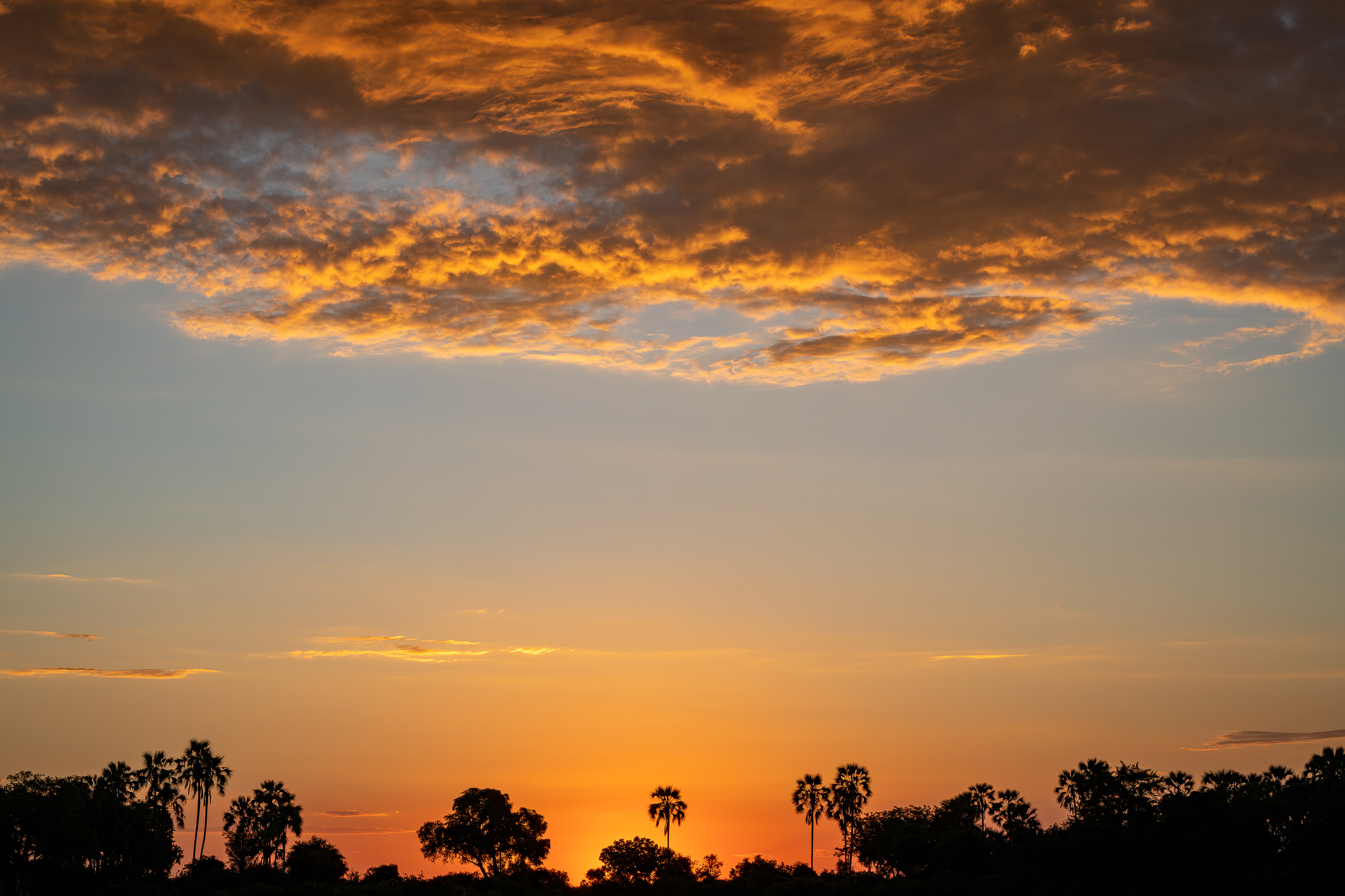 Sunset in the Delta