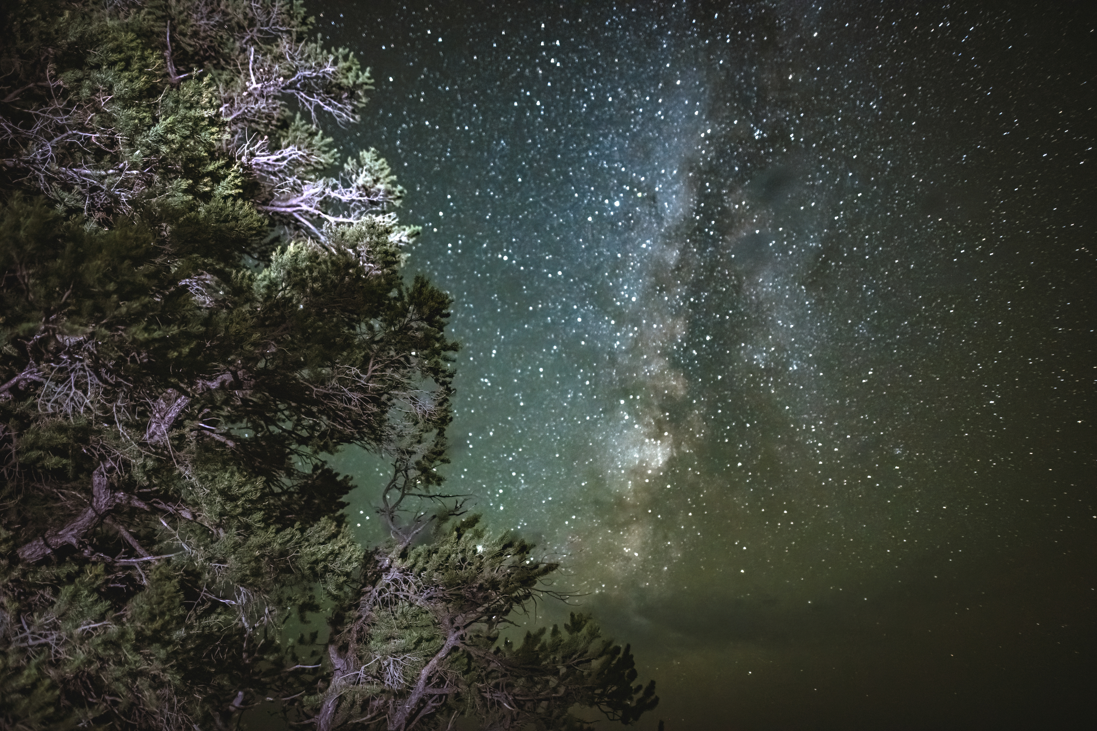North Rim, Grand Canyon NP