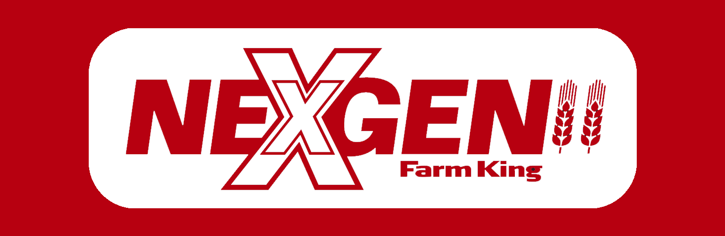 NexxGen Logo Development Example 2