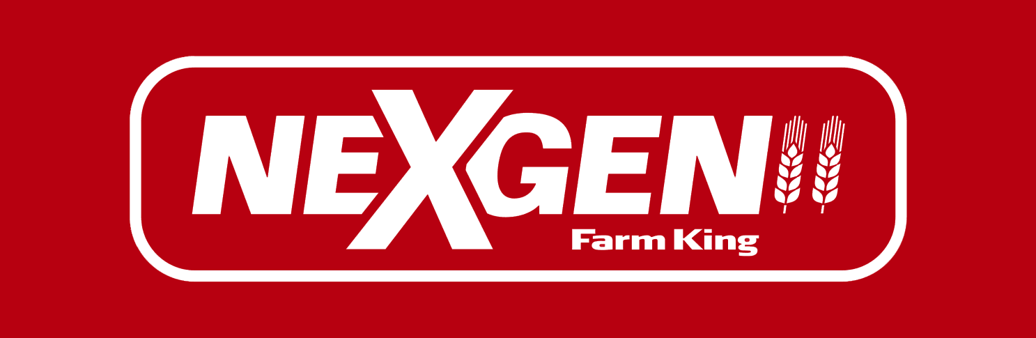 NexxGen Logo Development Example 4