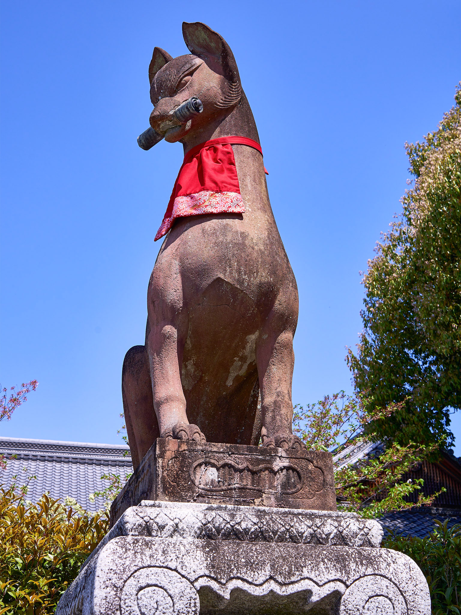 One of the many stone fox statues which are known as Inari foxes or kitsune.