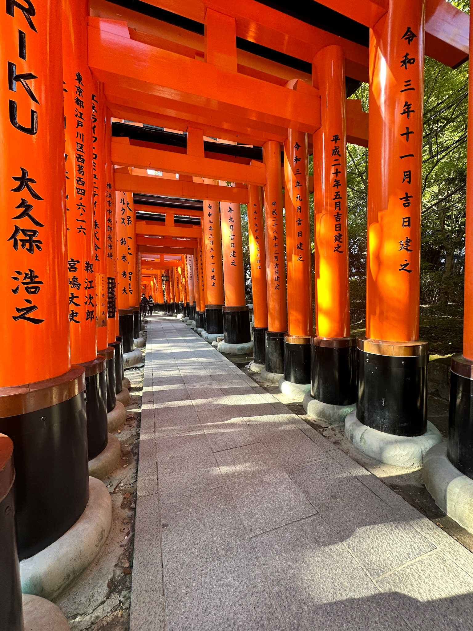 A few of the thousands of vermilion torii gates which straddle a network of trails