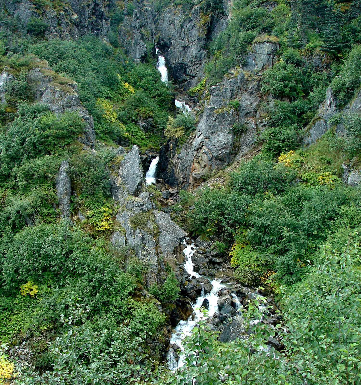Views from the White Pass & Yukon Route Railroad excursion