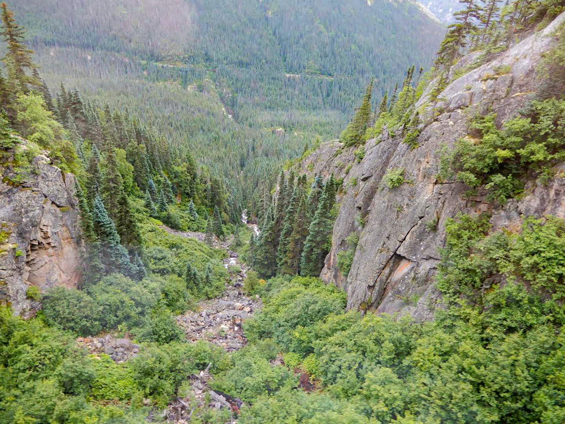 Views from the White Pass & Yukon Route Railroad excursion