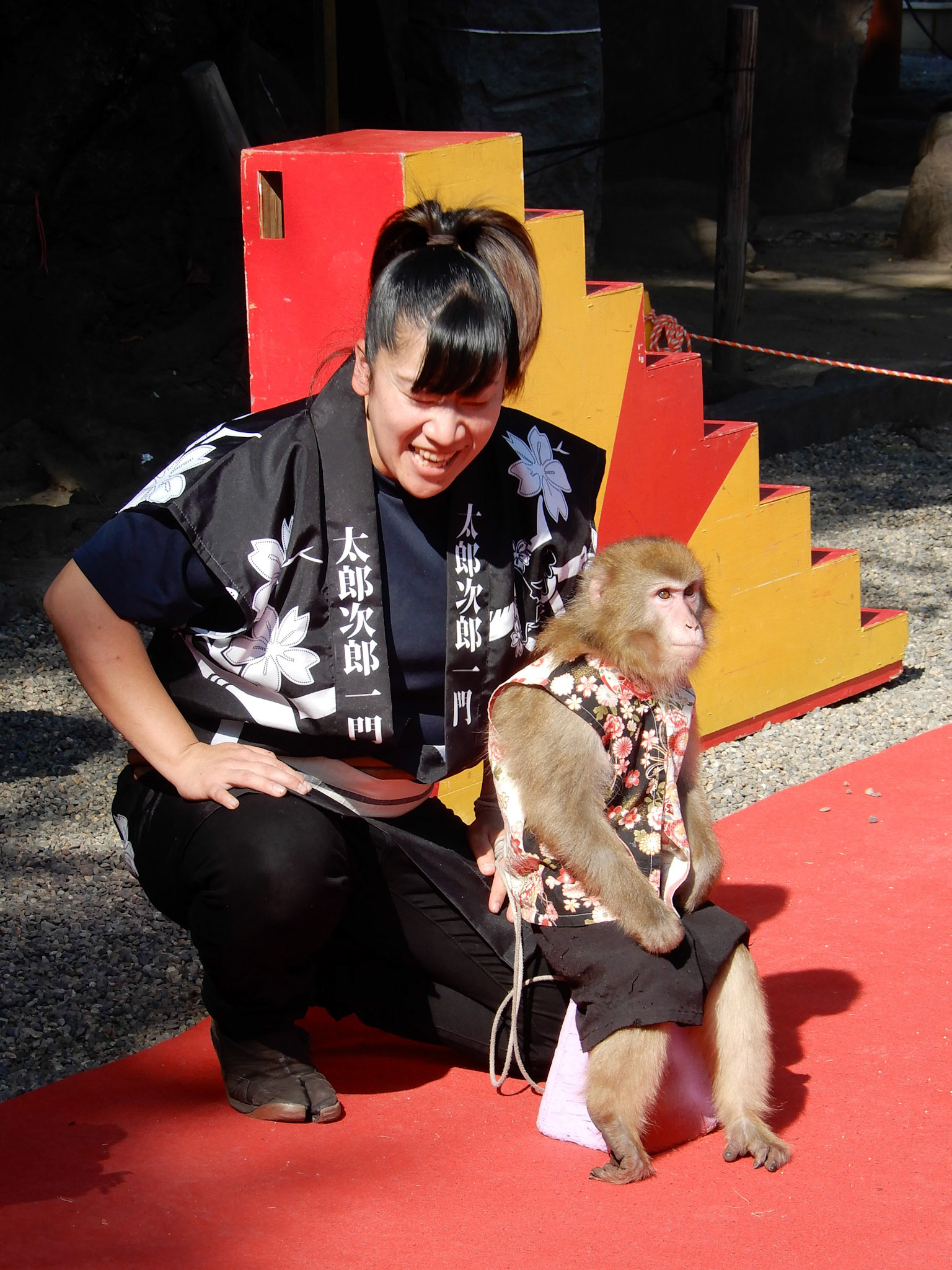 Sad little monkey performing at Asakusa Temple