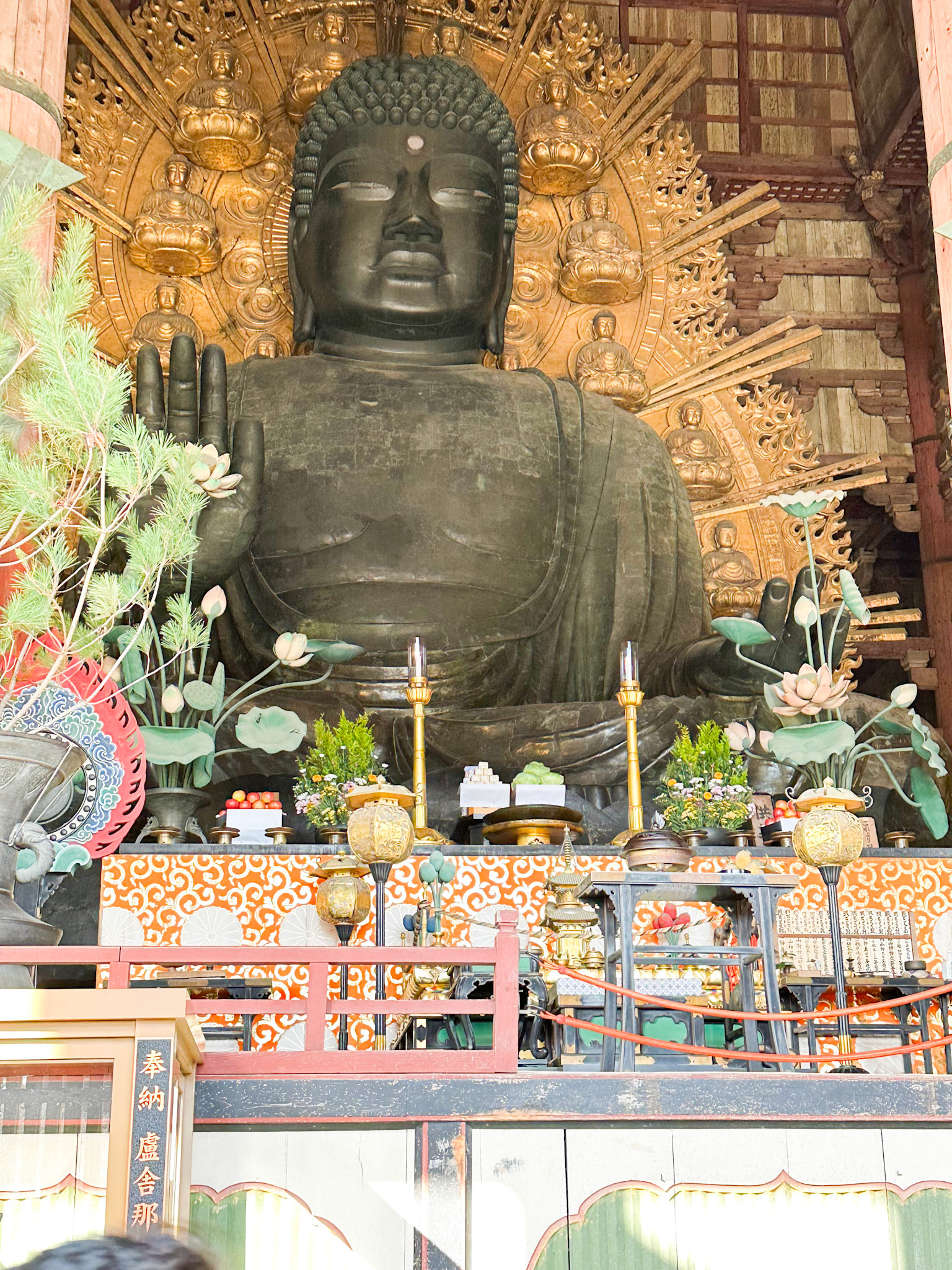 Great Buddha (Daibutsu) - his open hand alone is as tall as a human being