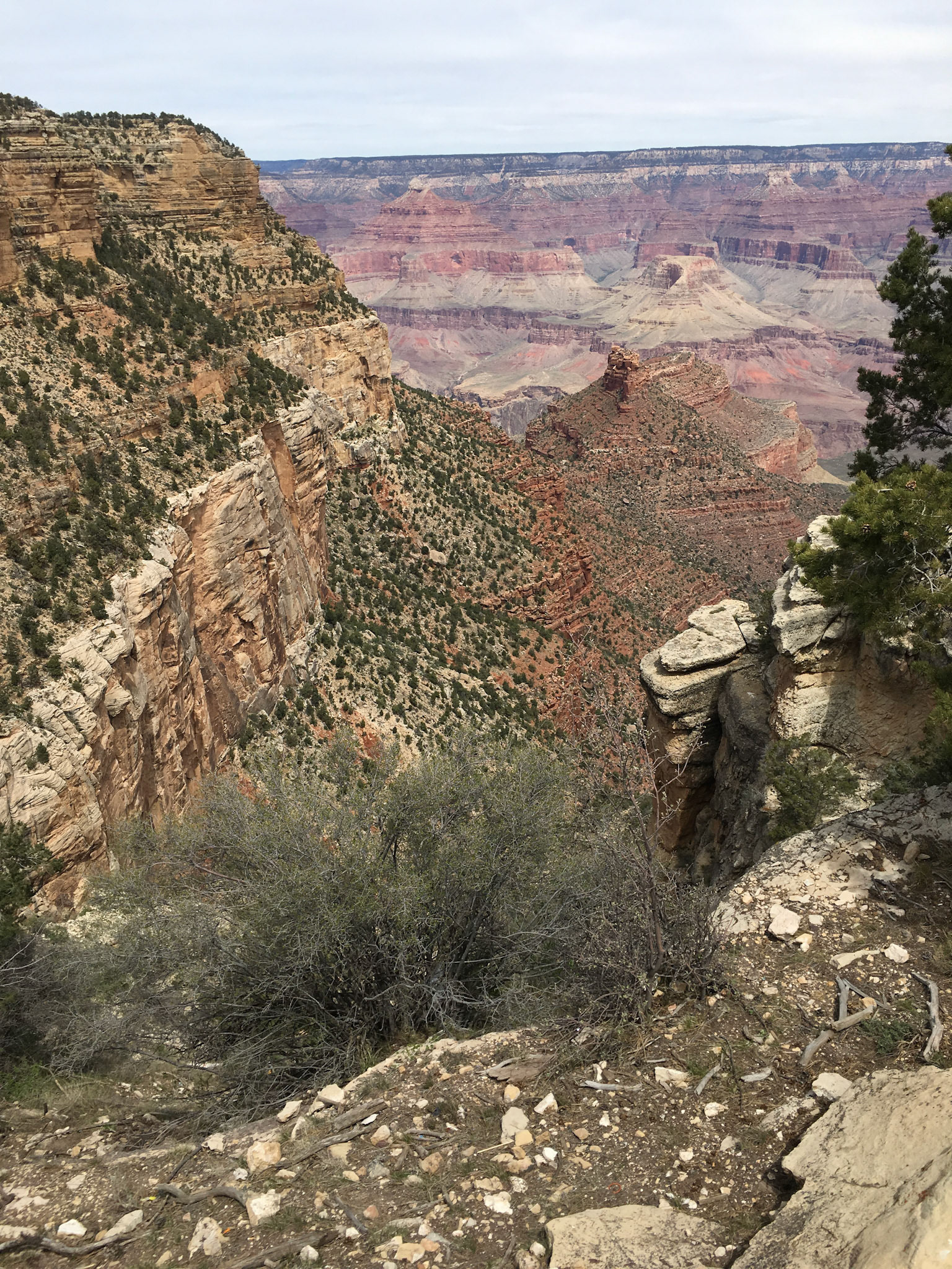 Grand Canyon partial view from south rim