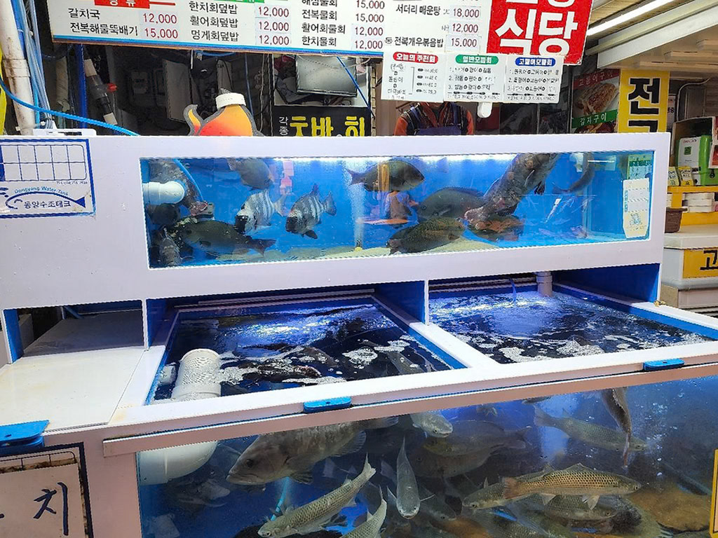 Interesting choices at Dongmun Traditional Market