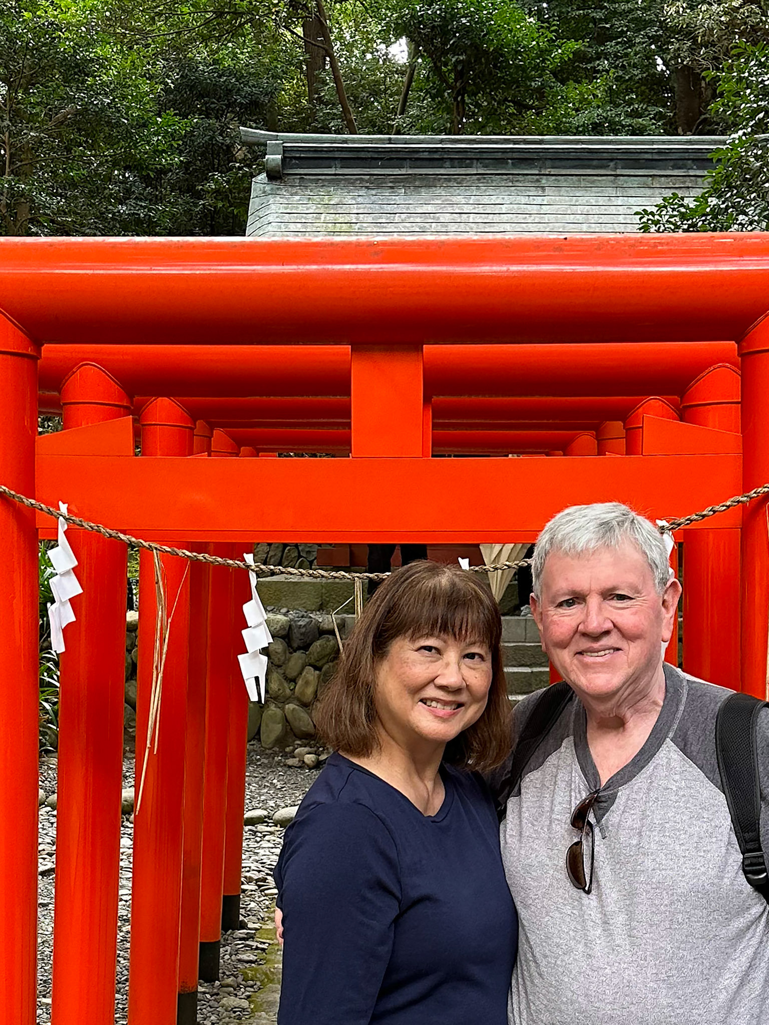 Torii at Kunozan Toshogu Shrine - A torii is a traditional Japanese gate most commonly found at the entrance of or within a Shinto shrine, where it symbolically marks the transition from the mundane to the sacred.