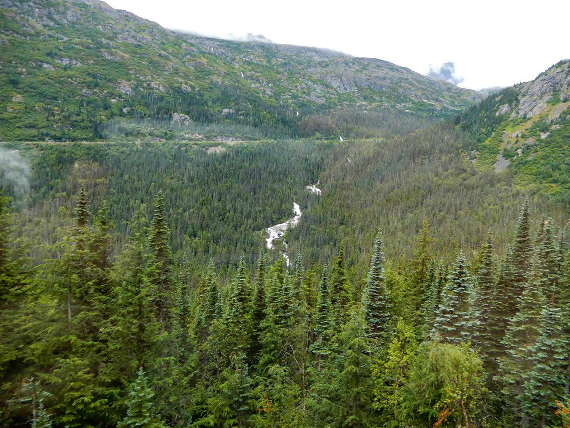 Views from the White Pass & Yukon Route Railroad excursion