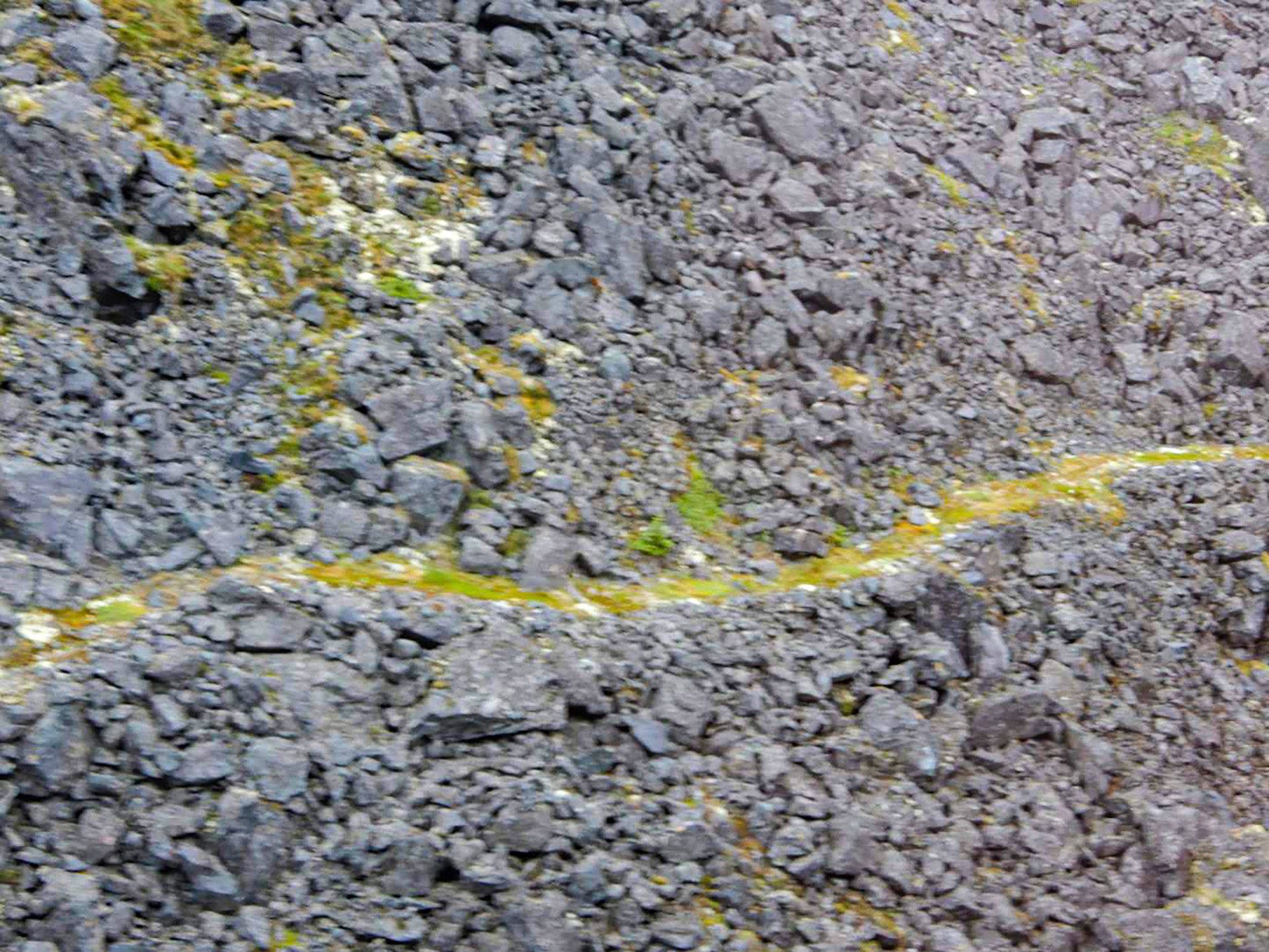 Remaining portion of the White Pass or Dead Horse Trail