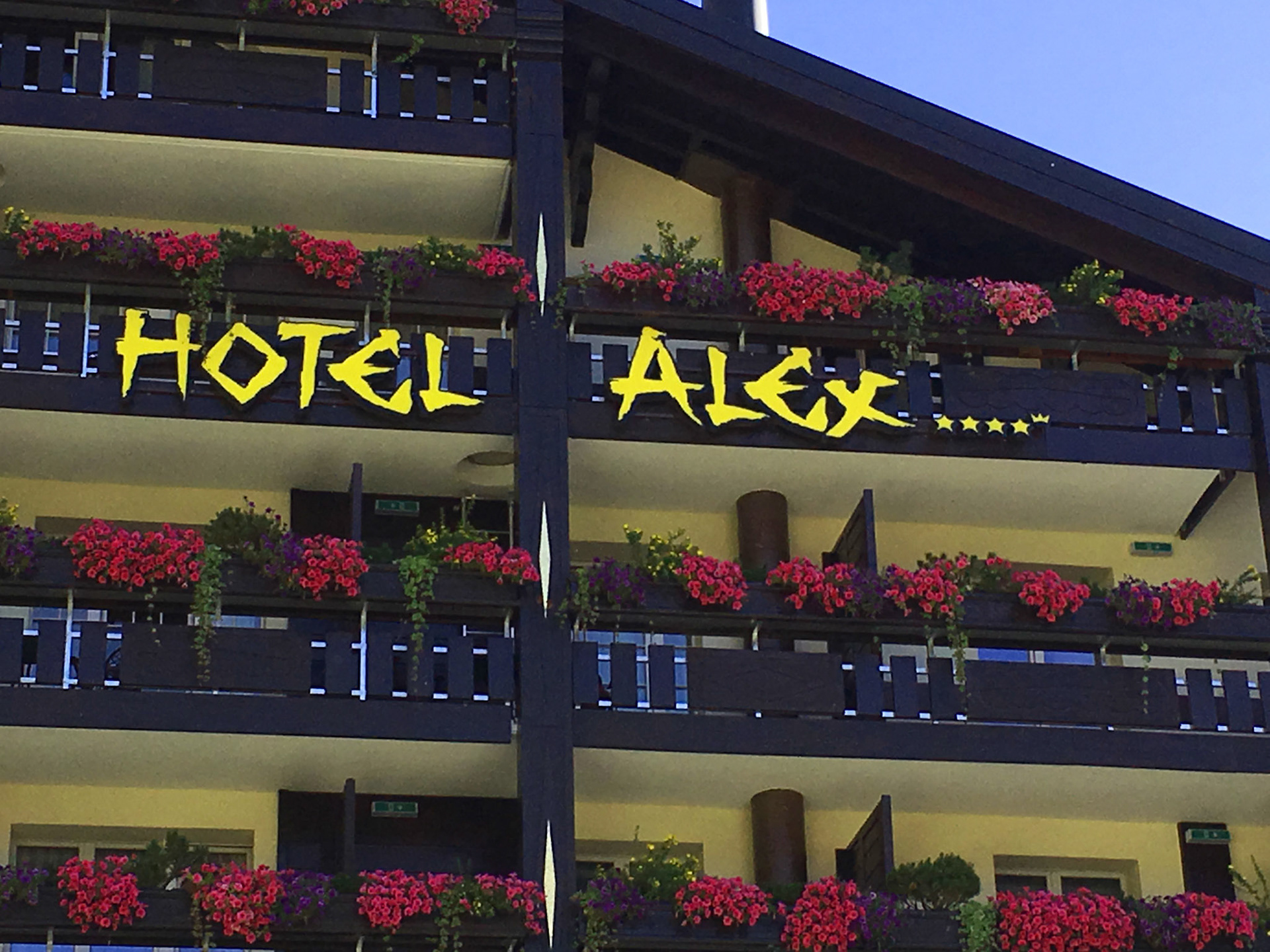 Our hotel - Hotel Alex showing 4 stars