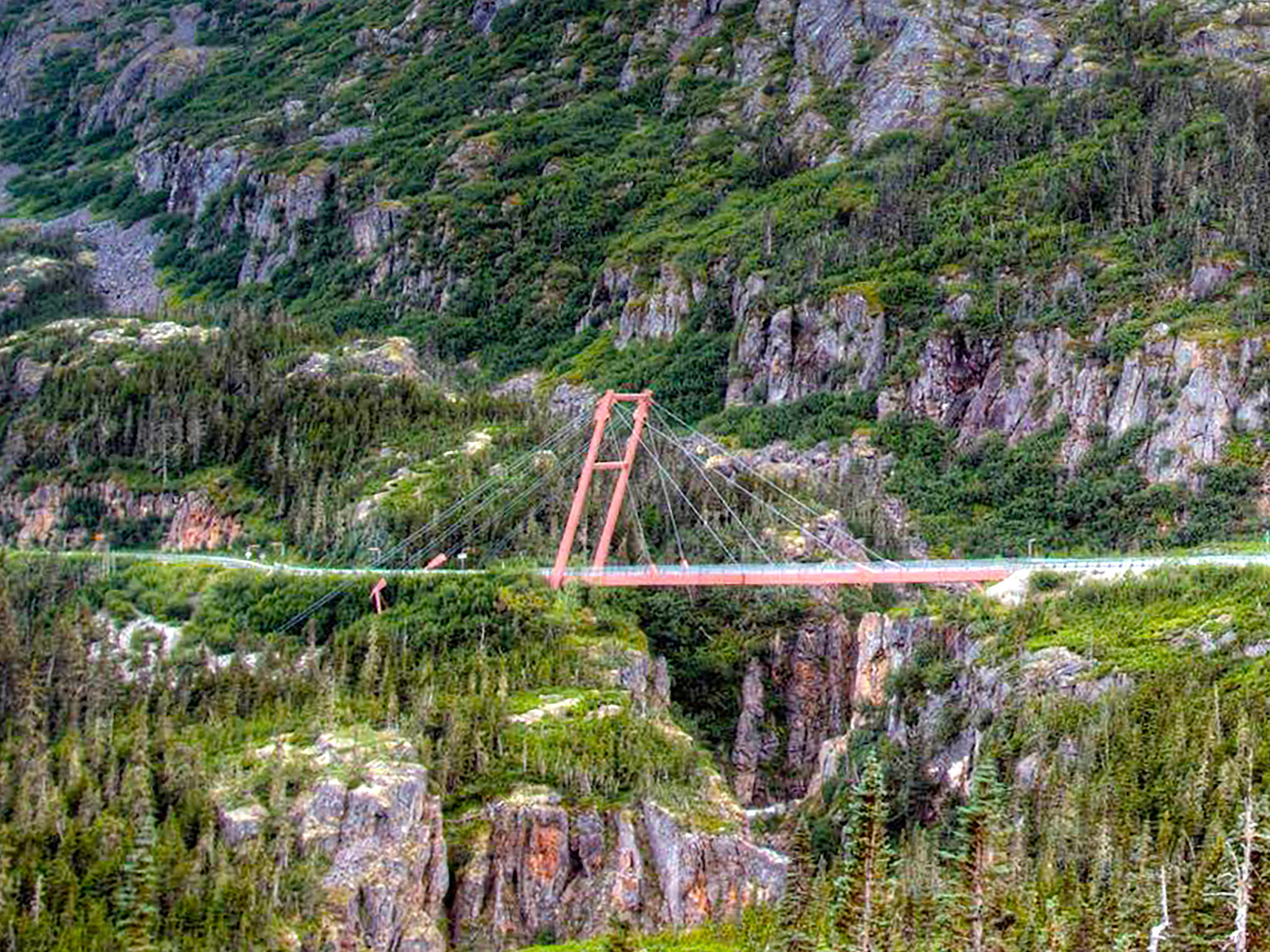 Suspension bridge over a quake fissure