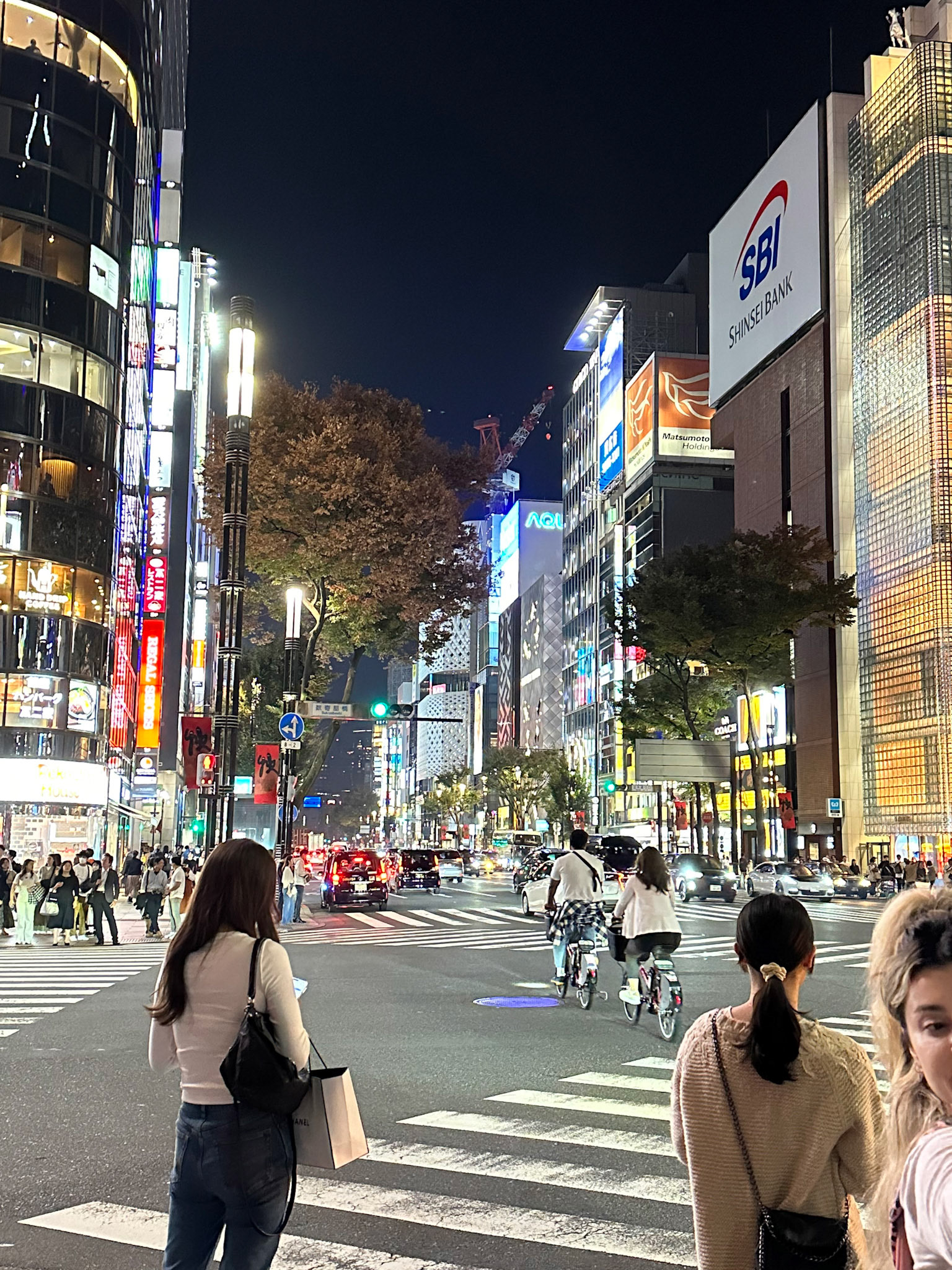 Tokyo street at night as we walk to dinner