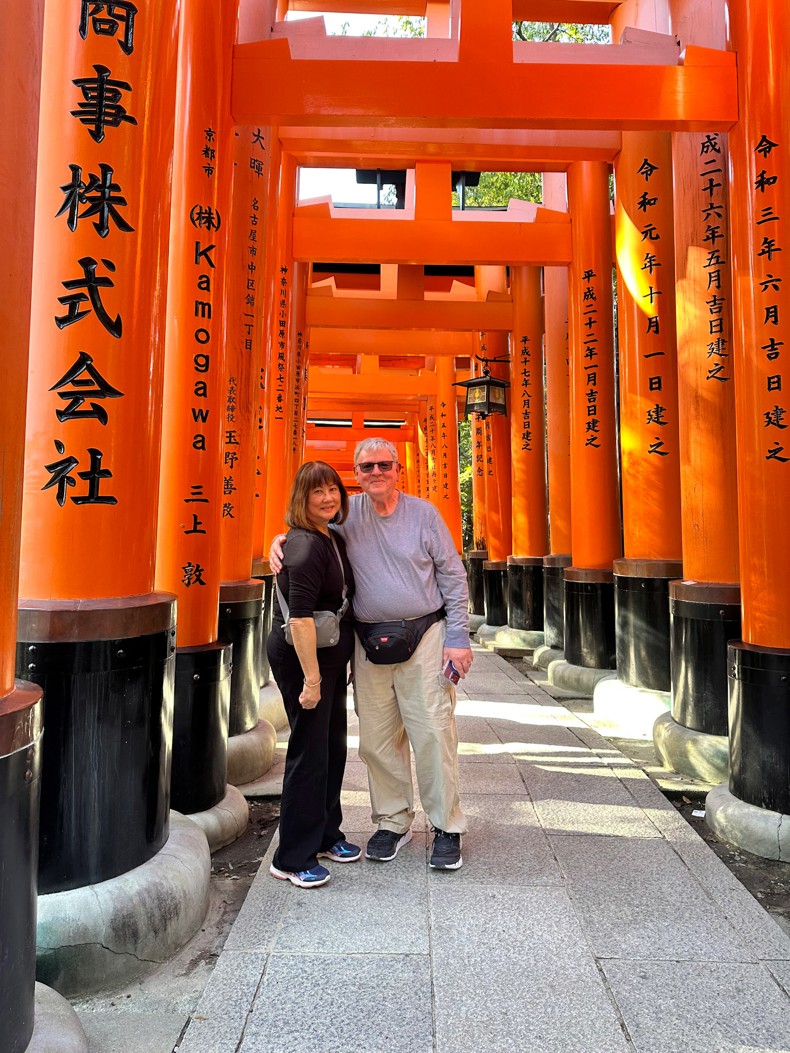 A few of the thousands of vermilion torii gates which straddle a network of trails
