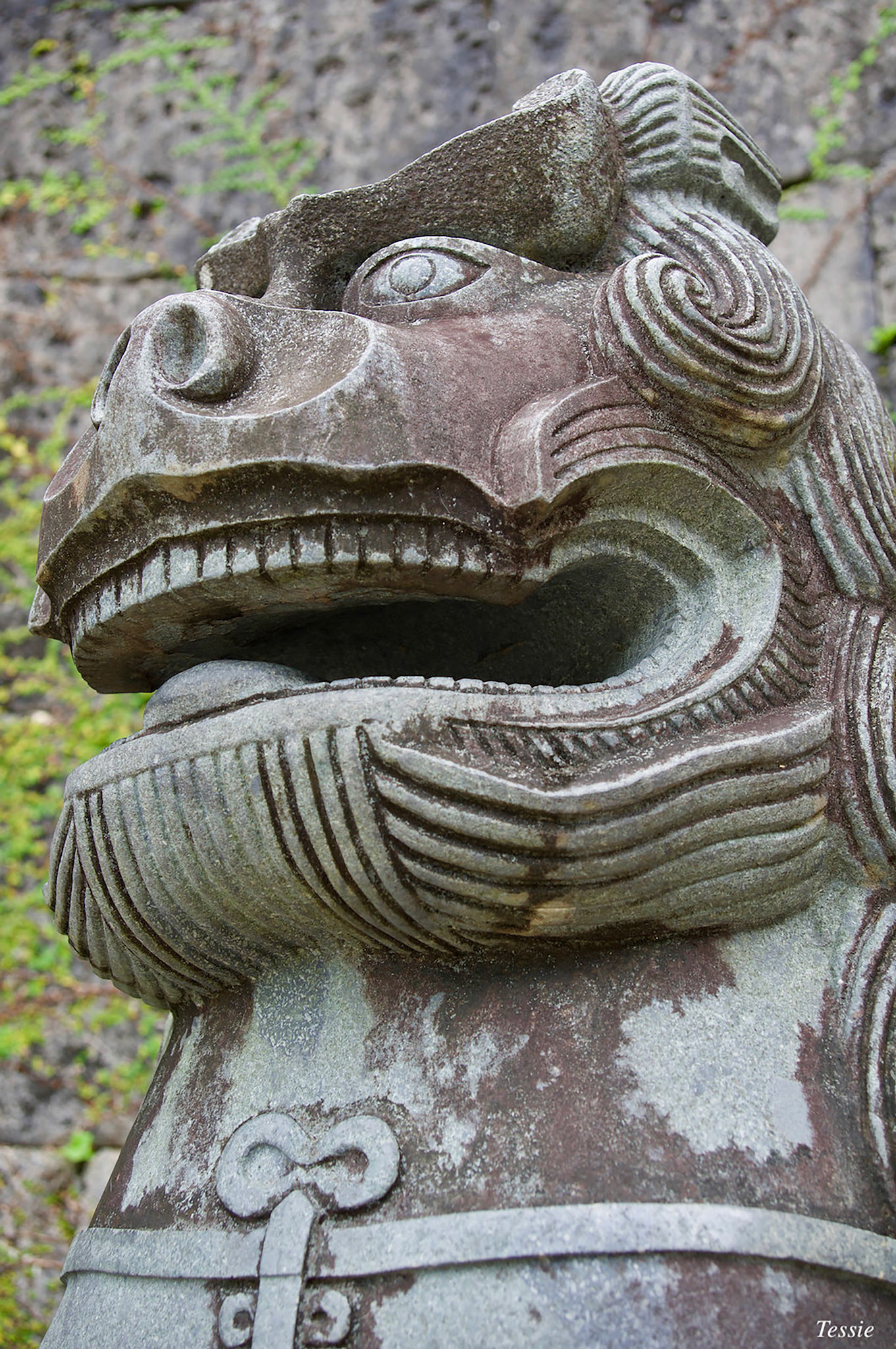 A Shisa standing in front of the Kankai-mon gate