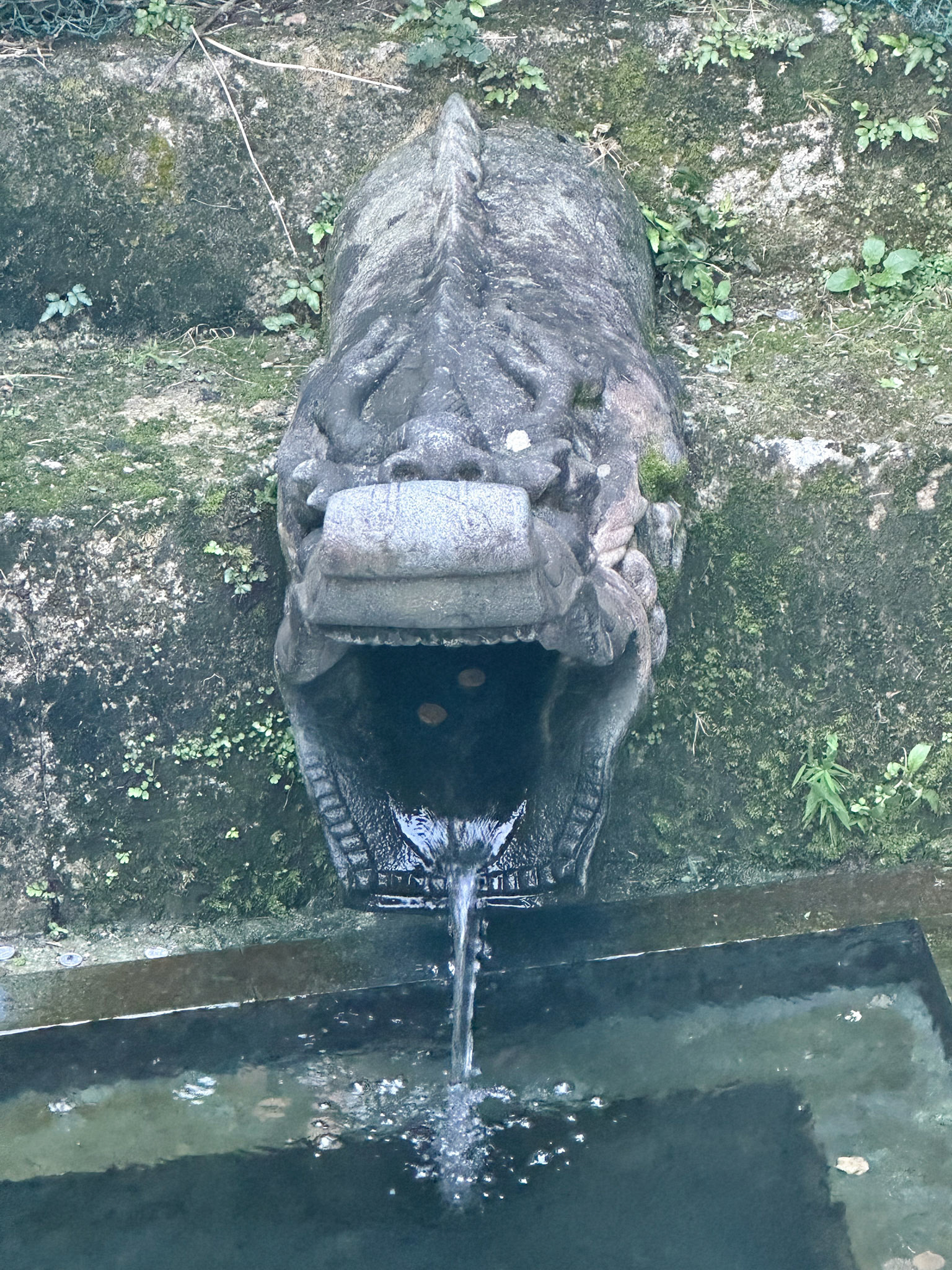 The Ryuhi, a dragon-shaped fountainhead from which spring water flows