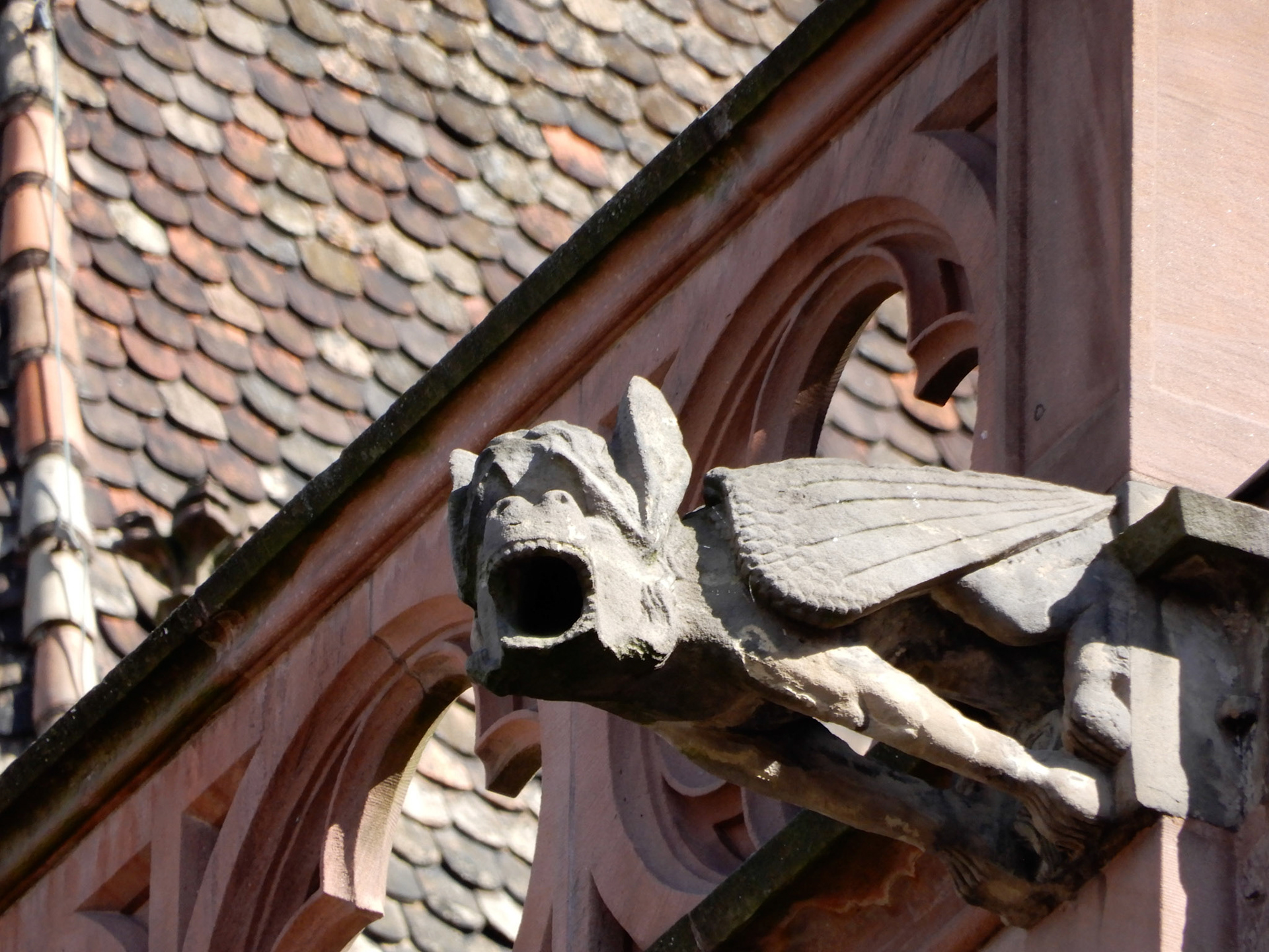 Gargoyles on Cathédrale Notre Dame de Strasbourg