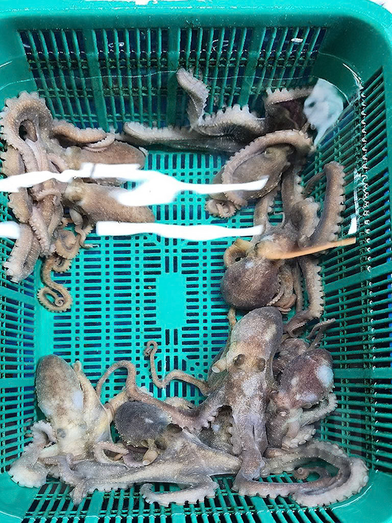 Interesting choices at Dongmun Traditional Market