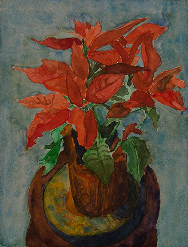 Delicate Poinsettia