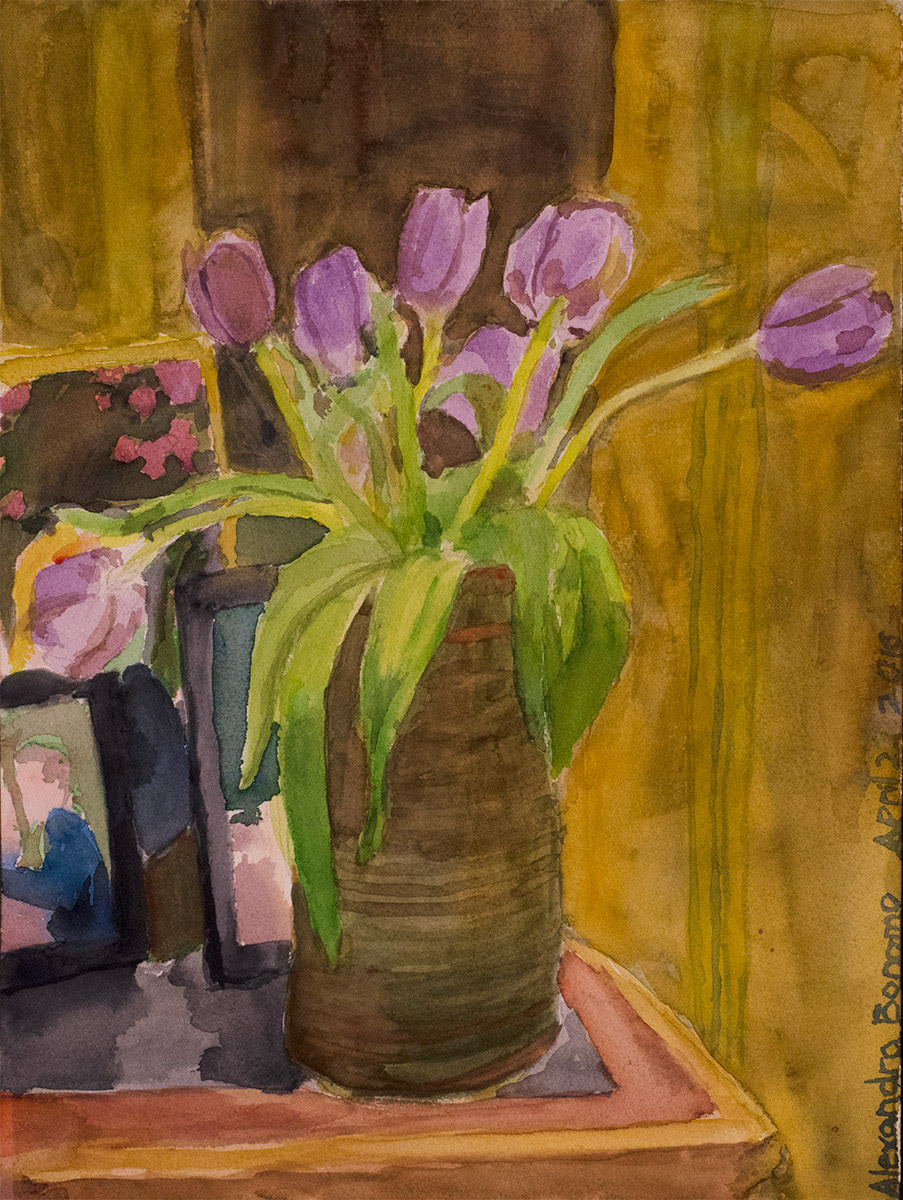 Slow to Tulip