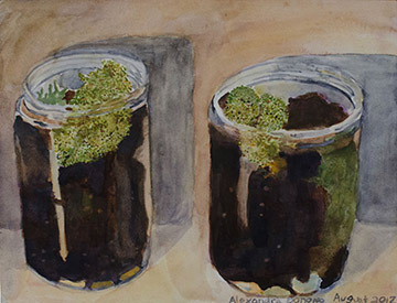 Two Terrariums