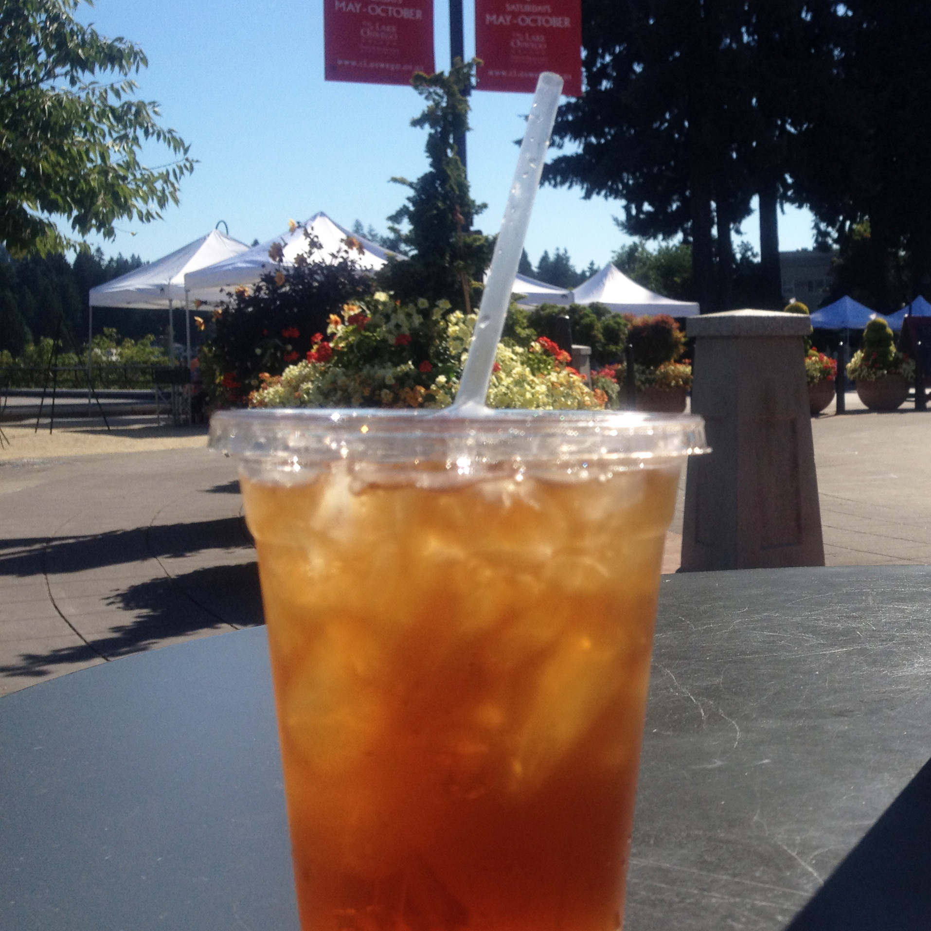 Iced Tea Fiend