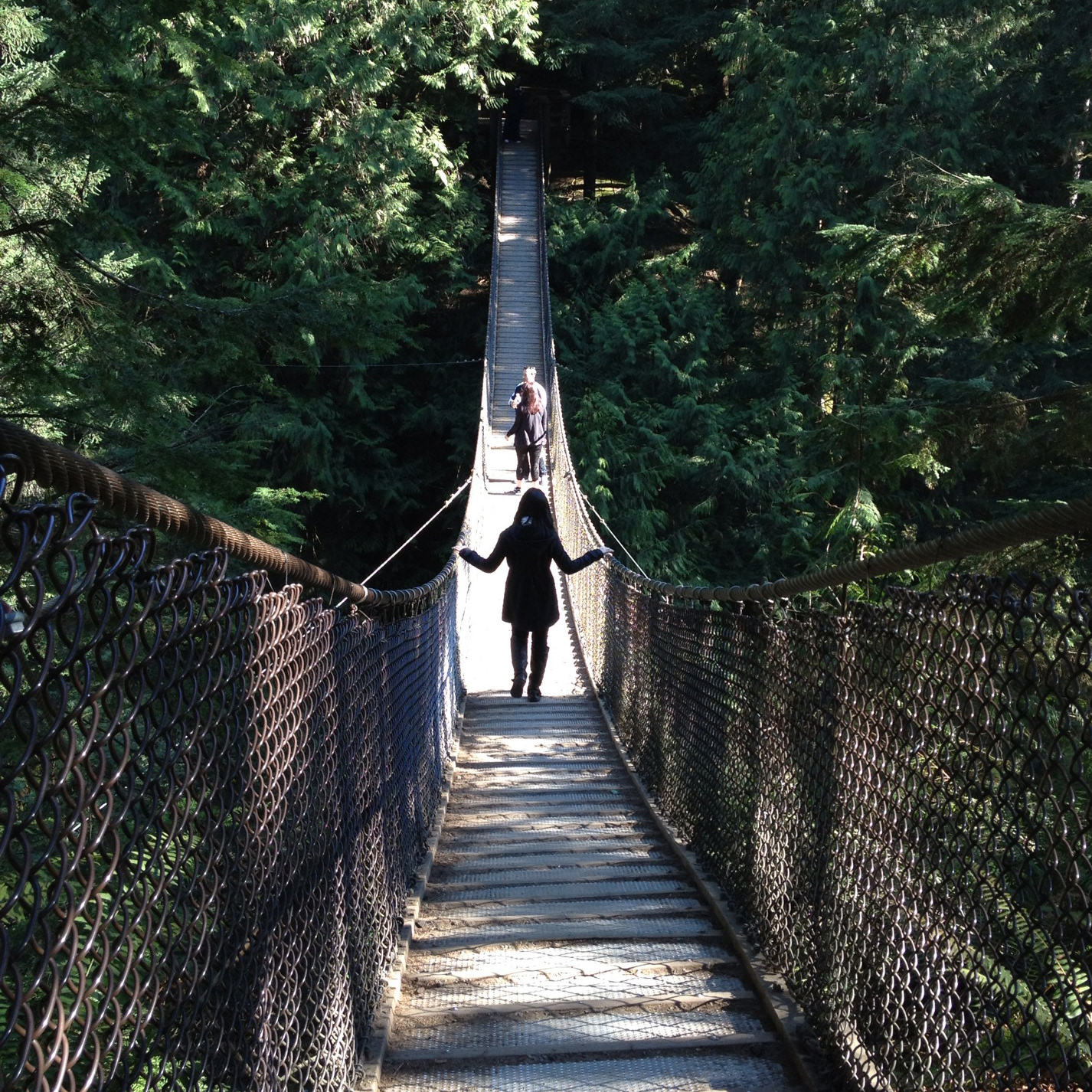 Rope Bridge Enthusiast