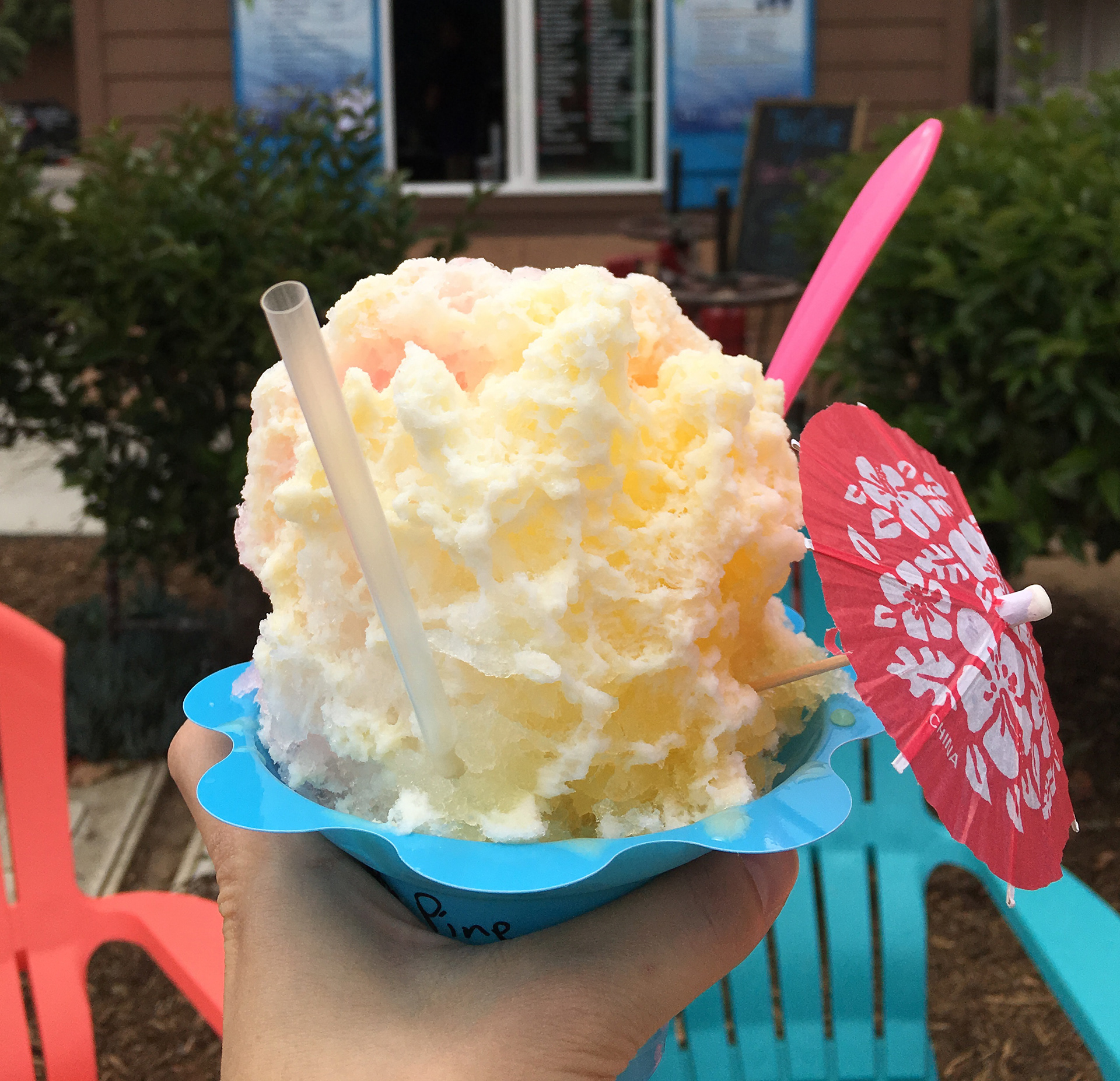 Shave Ice Aficionado