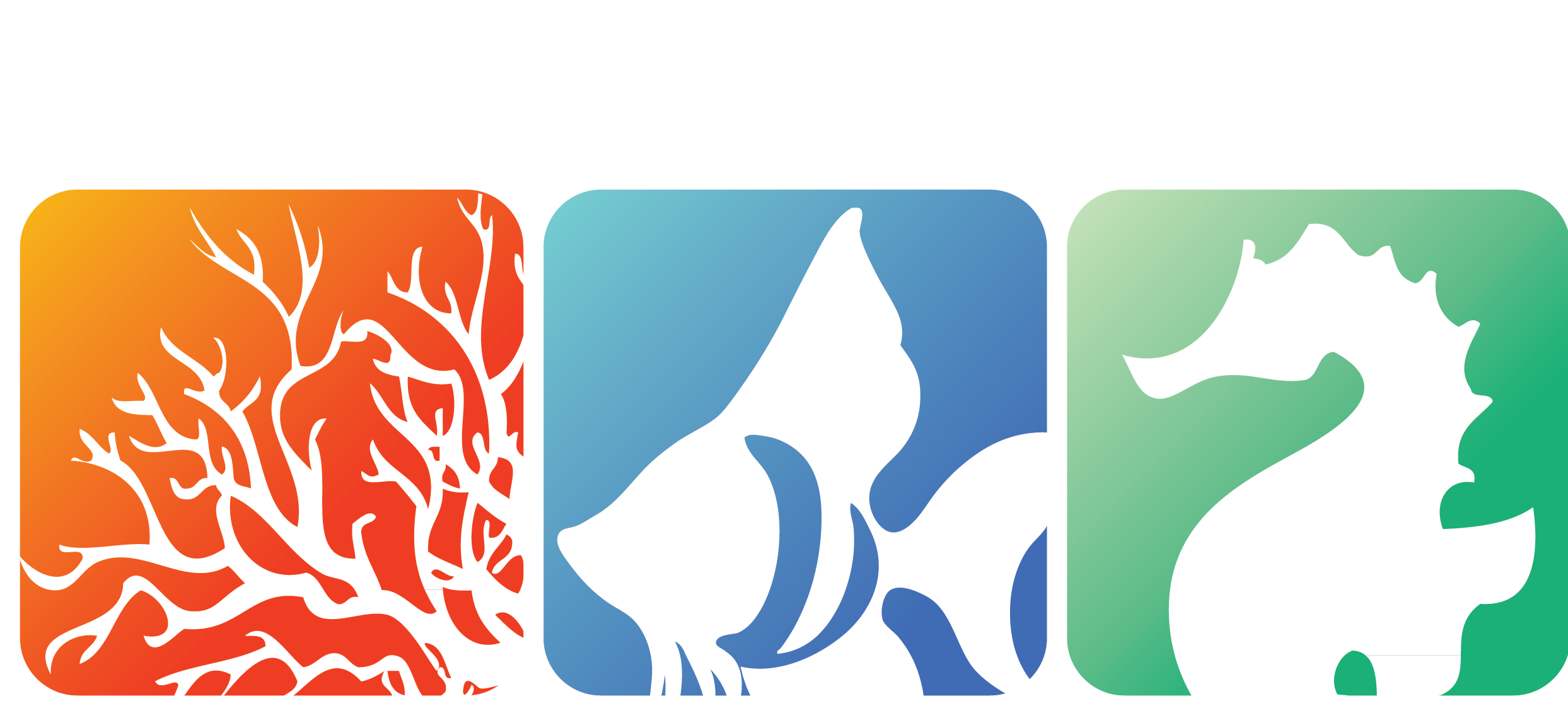 Picsunderewater.com