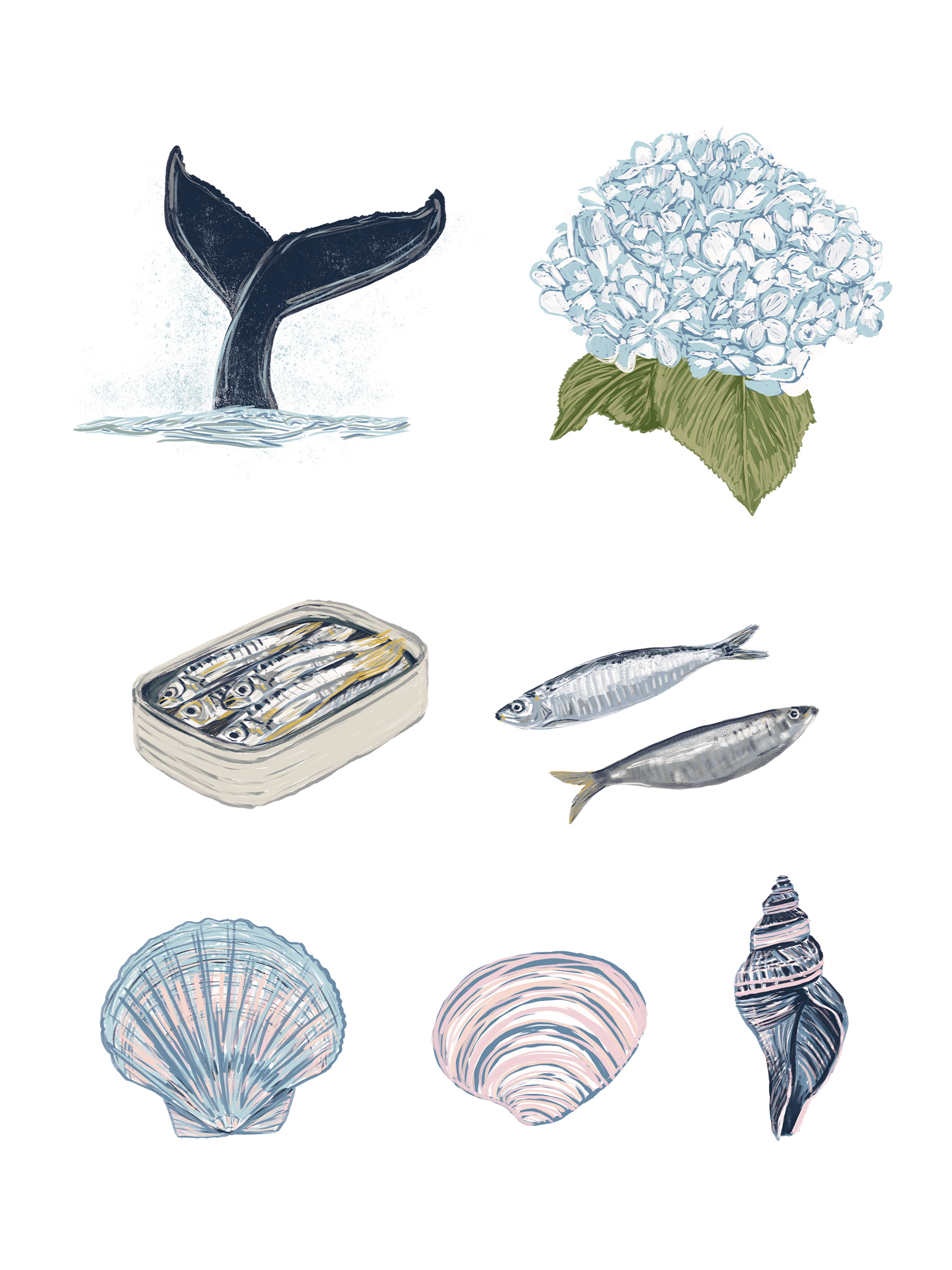 Nautical Elements - Digital Gouache