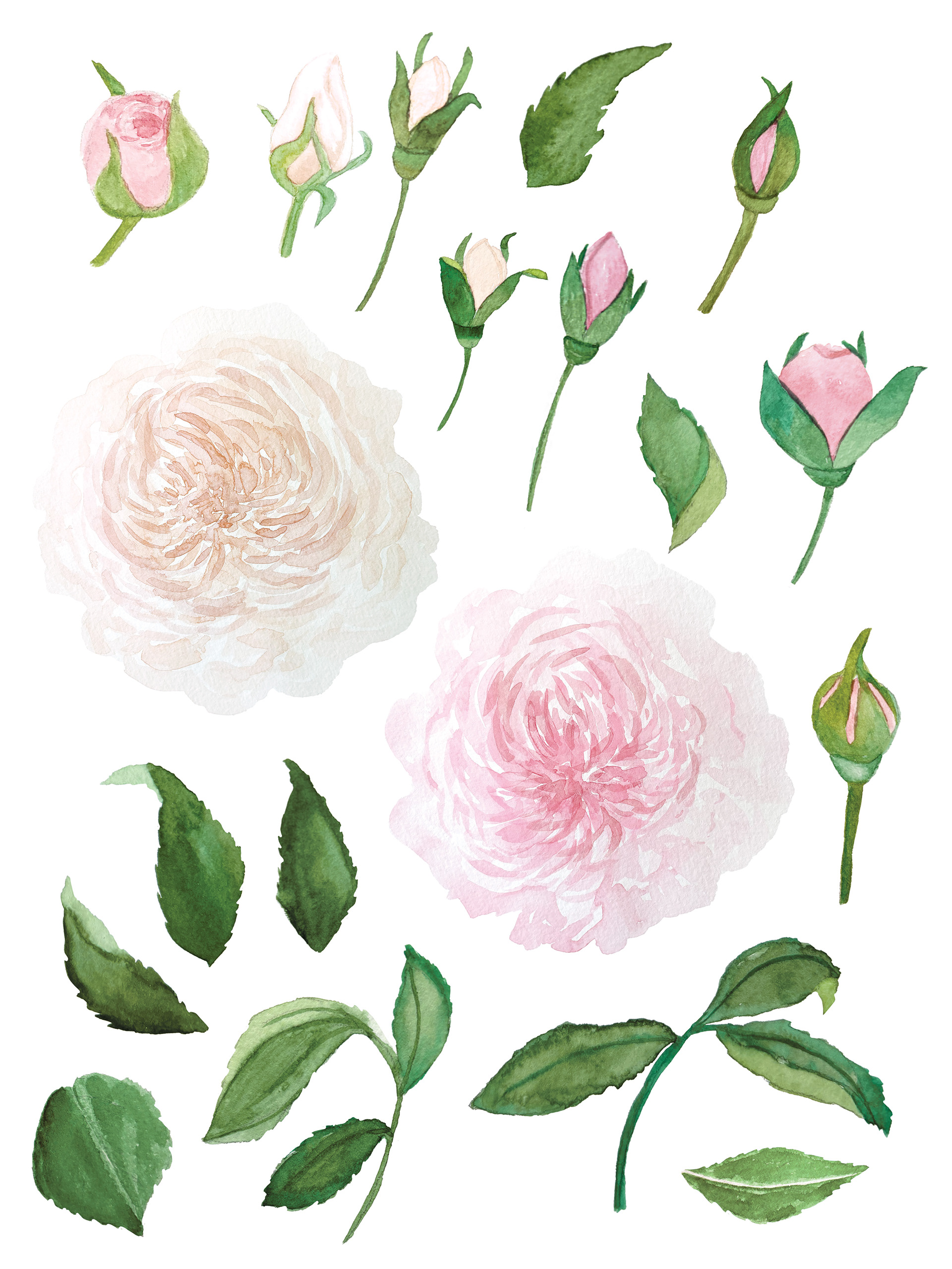 Watercolor Florals in Progress