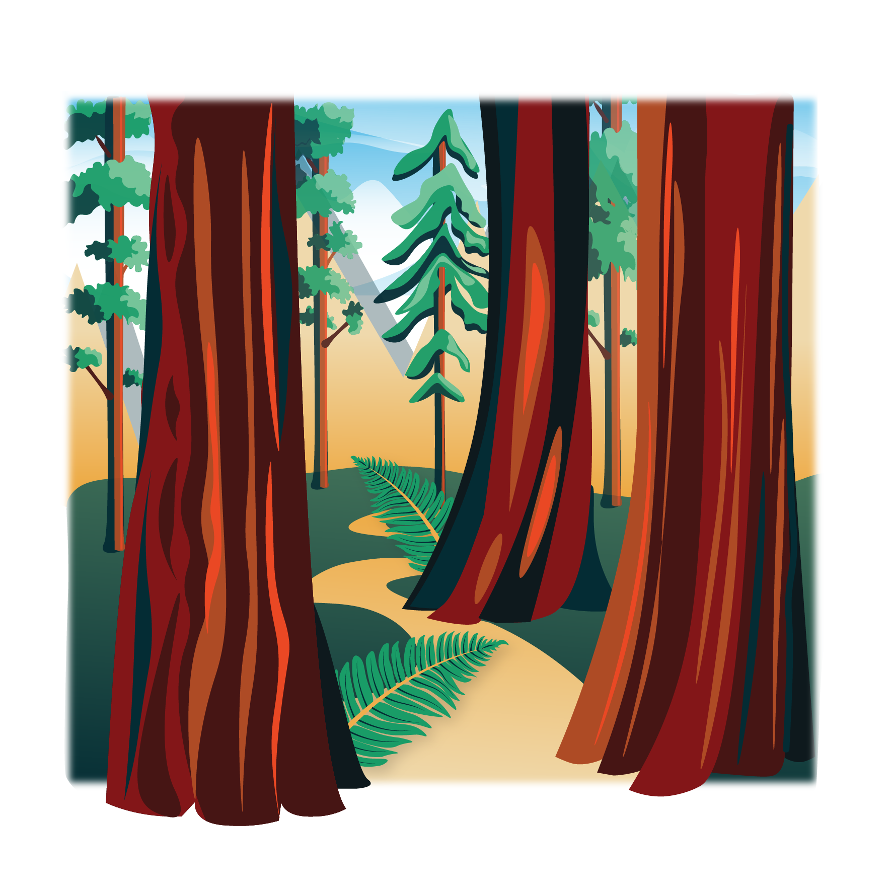 "Red Wood Tree"