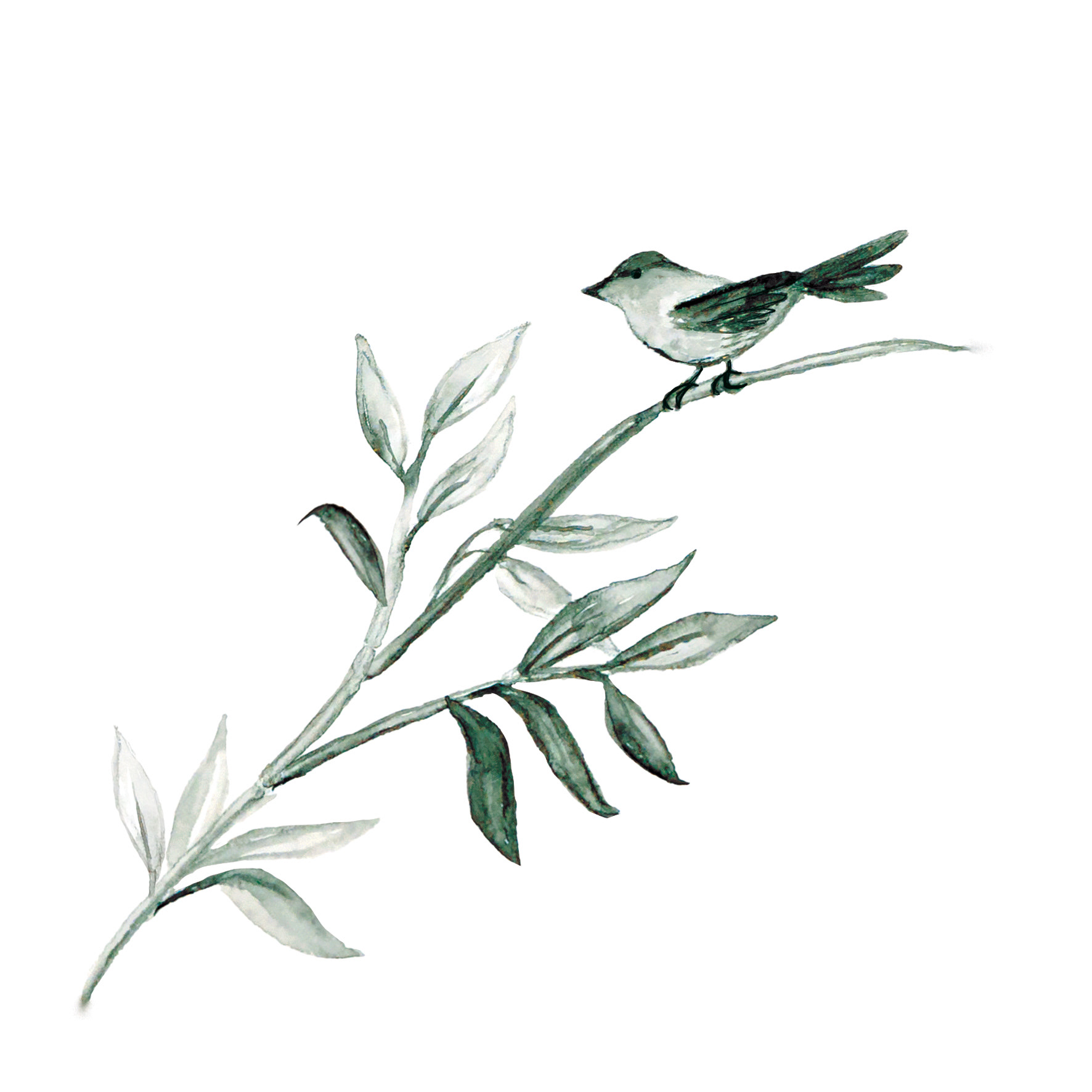 Minimalist Bird - Watercolor