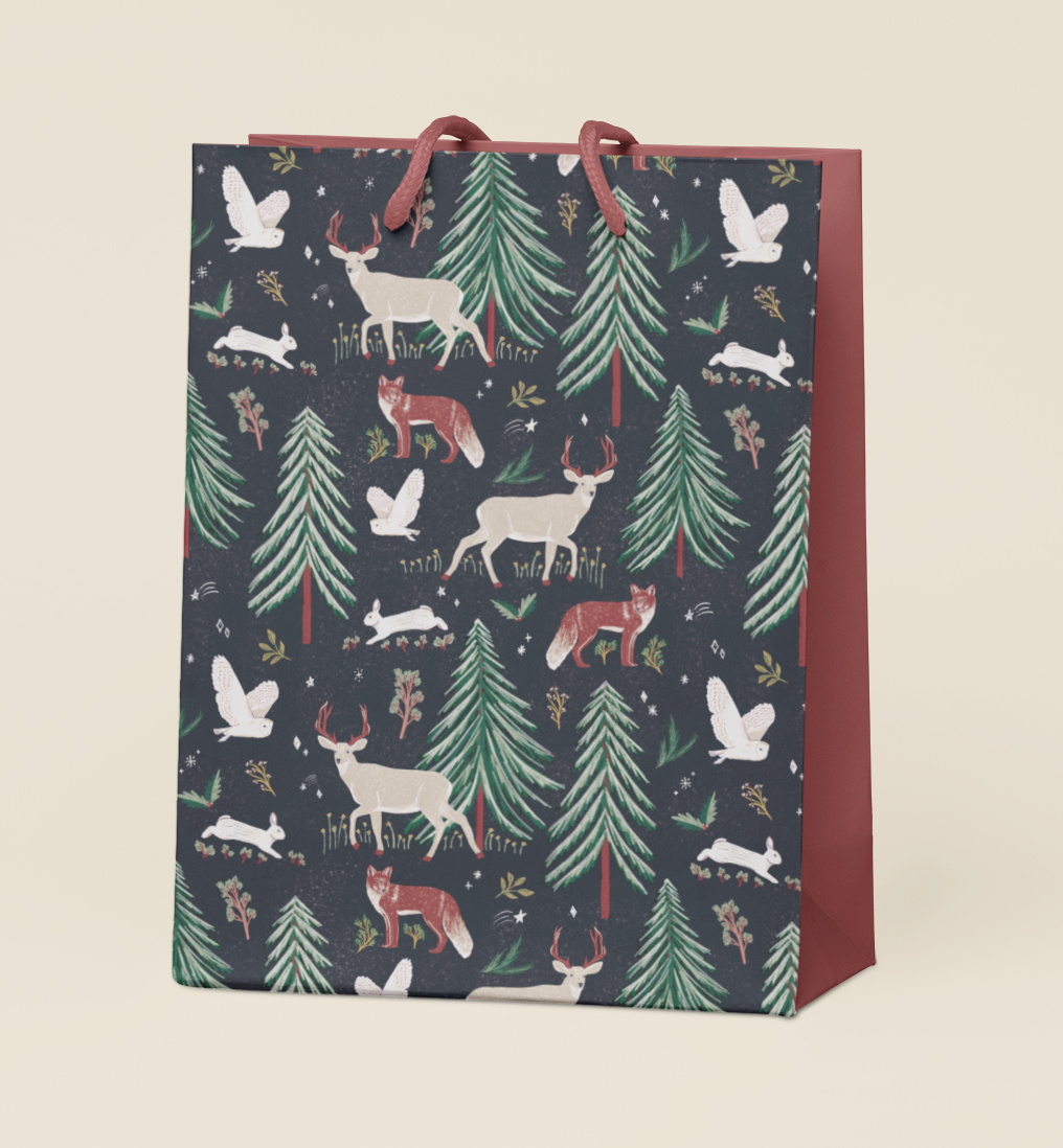 Gift Bag Concept