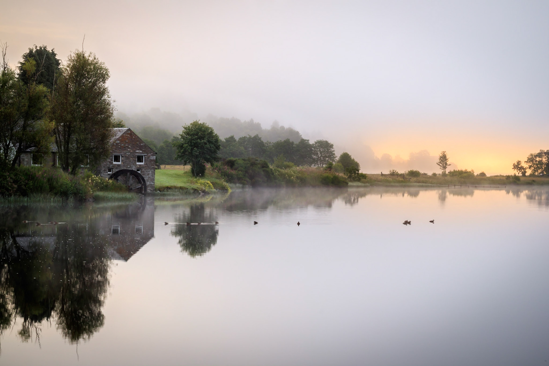 Loch Reflections