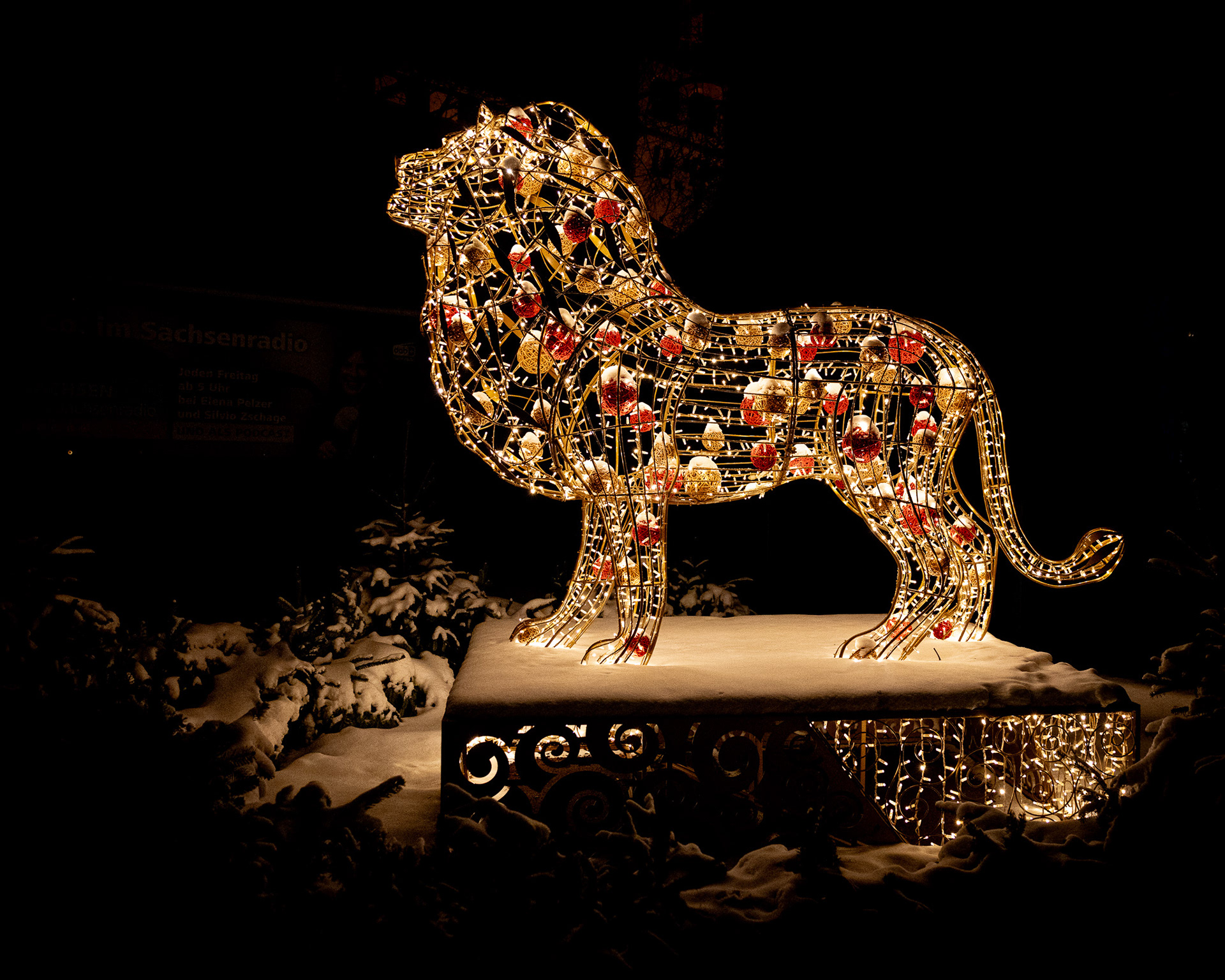 Magisches Tropenleuchten 2026