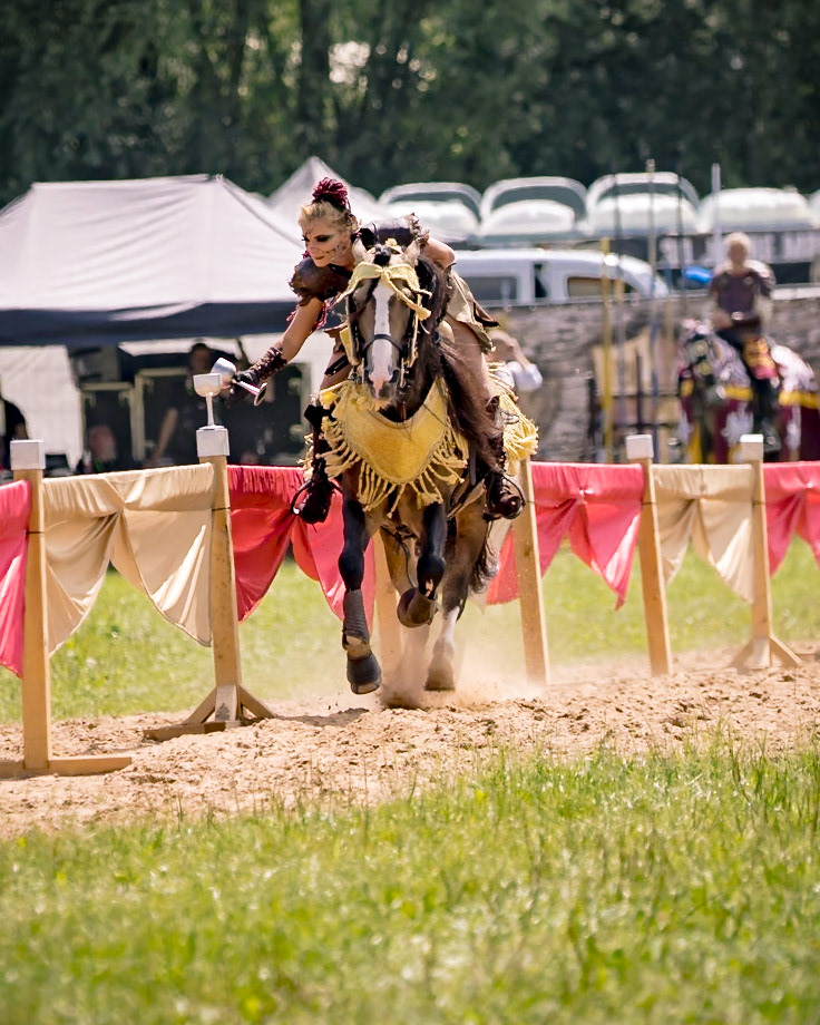 EHS - MPS Bückeburg