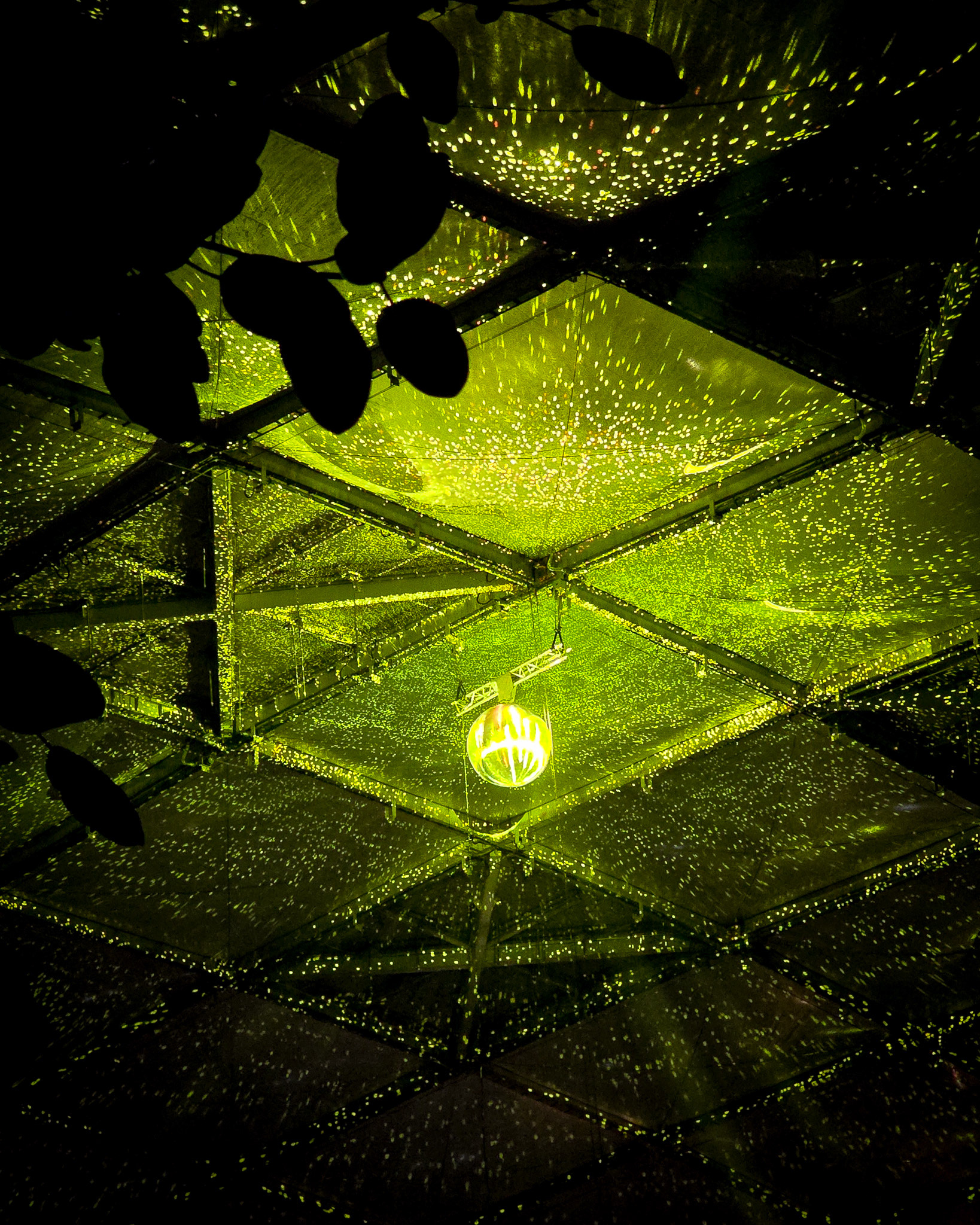 Magisches Tropenleuchten 2026