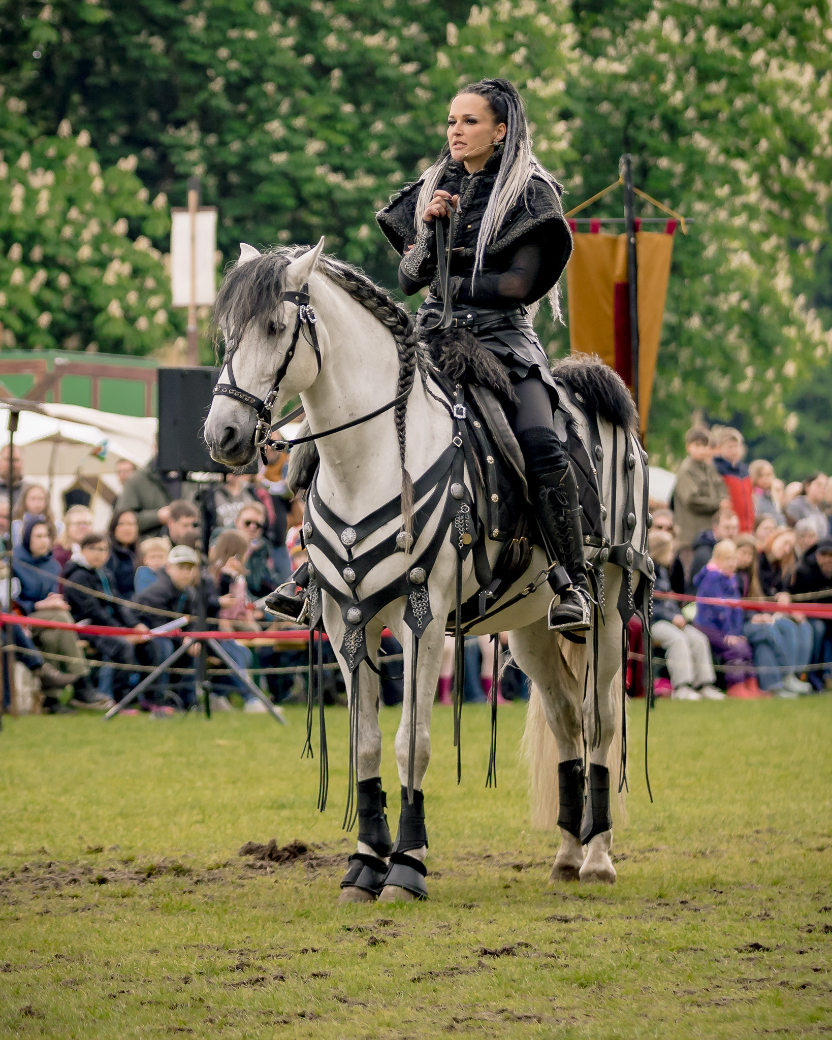 EHS Ritterturnier - MPS Rastede 2026