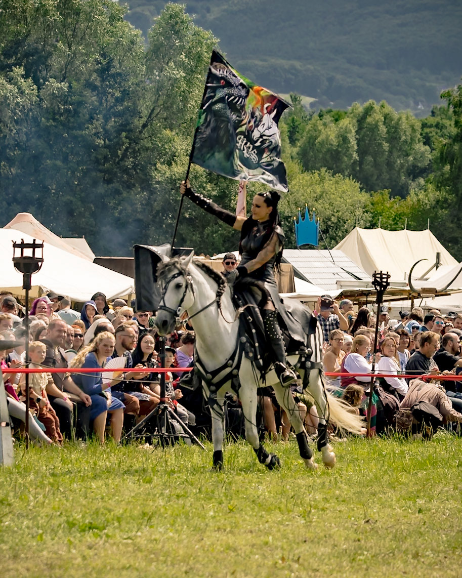 EHS - MPS Bückeburg