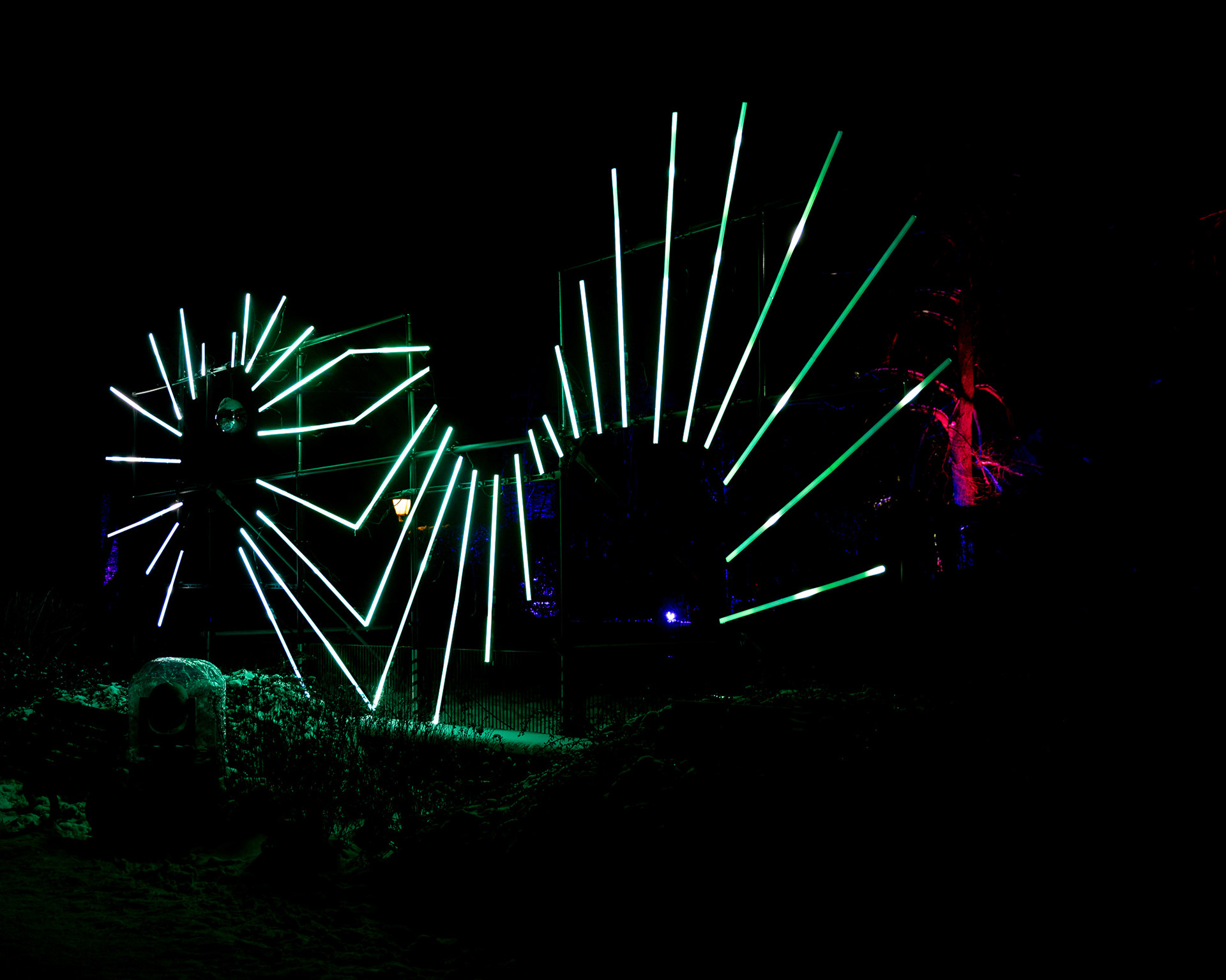 Magisches Tropenleuchten 2026